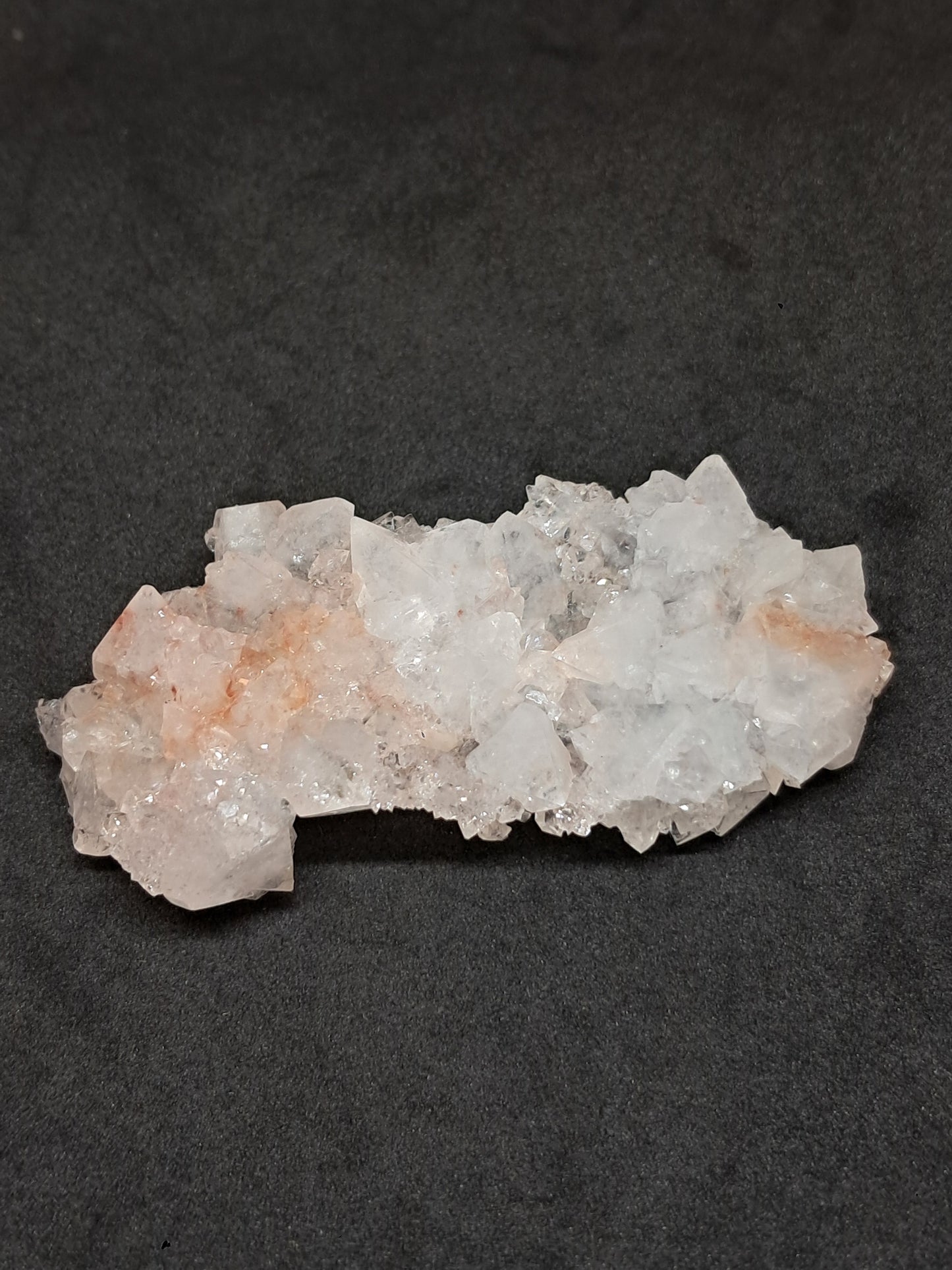Octahedral Apophyllite Floater Cluster w/ Hematite (Ajanta) Natural Crystal | Mineral Specimen #AP33