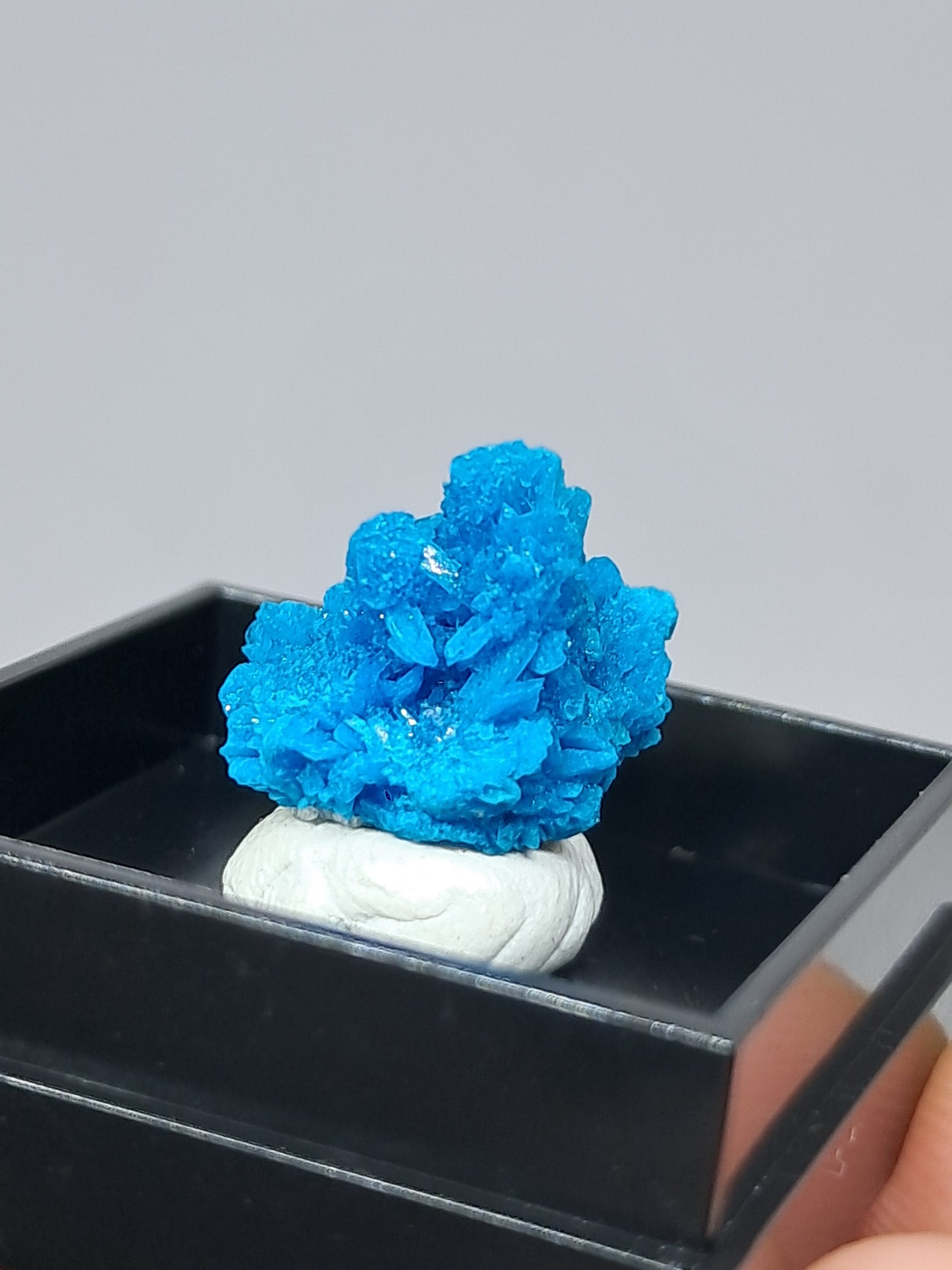 Pentagonite (Wagholi) Rough Stone | Natural Crystal | Rare Mineral Specimen #CV50