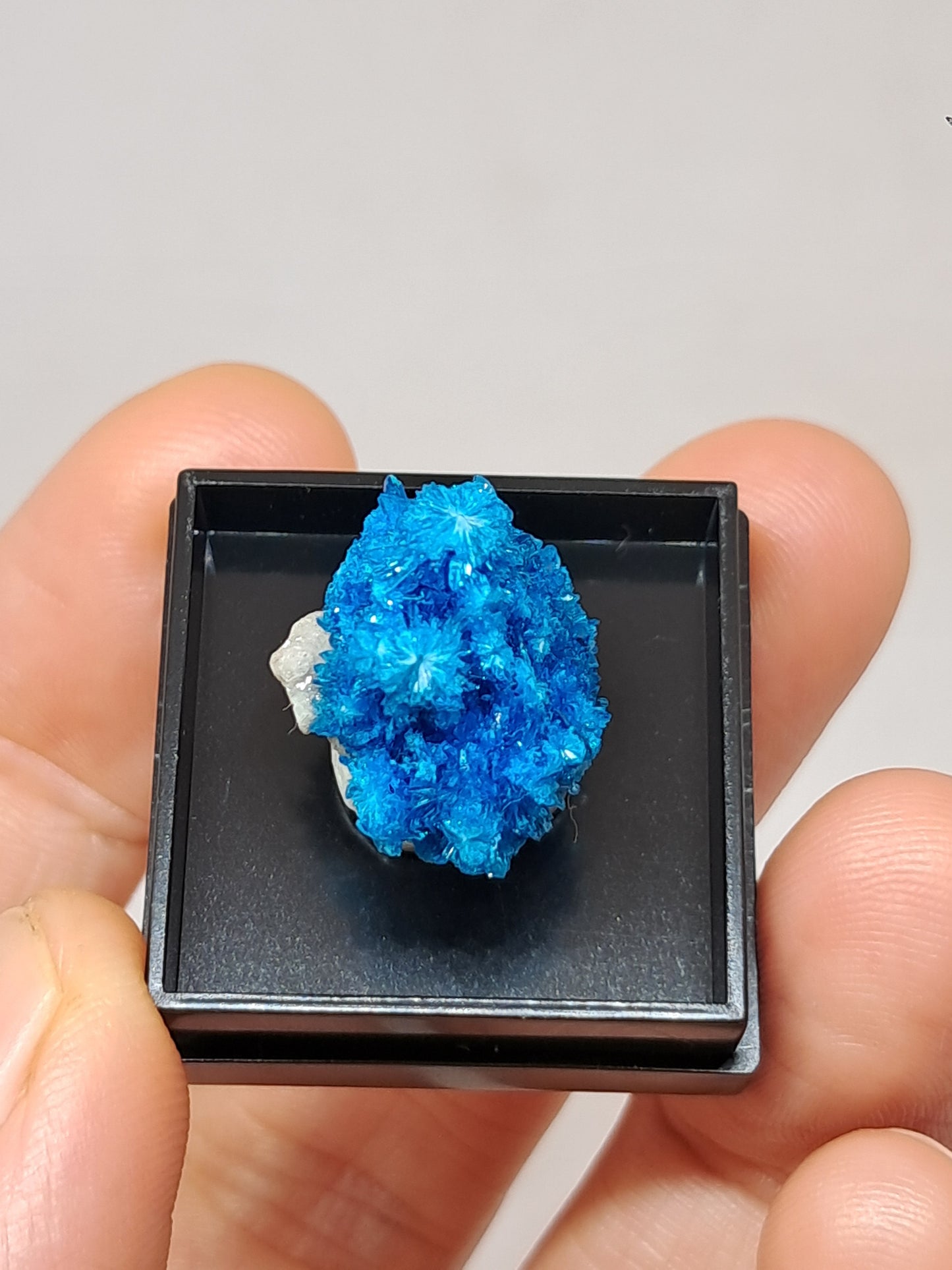 Pentagonite (Pune) Rough Stone | Natural Crystal | Rare Mineral Specimen #CV54