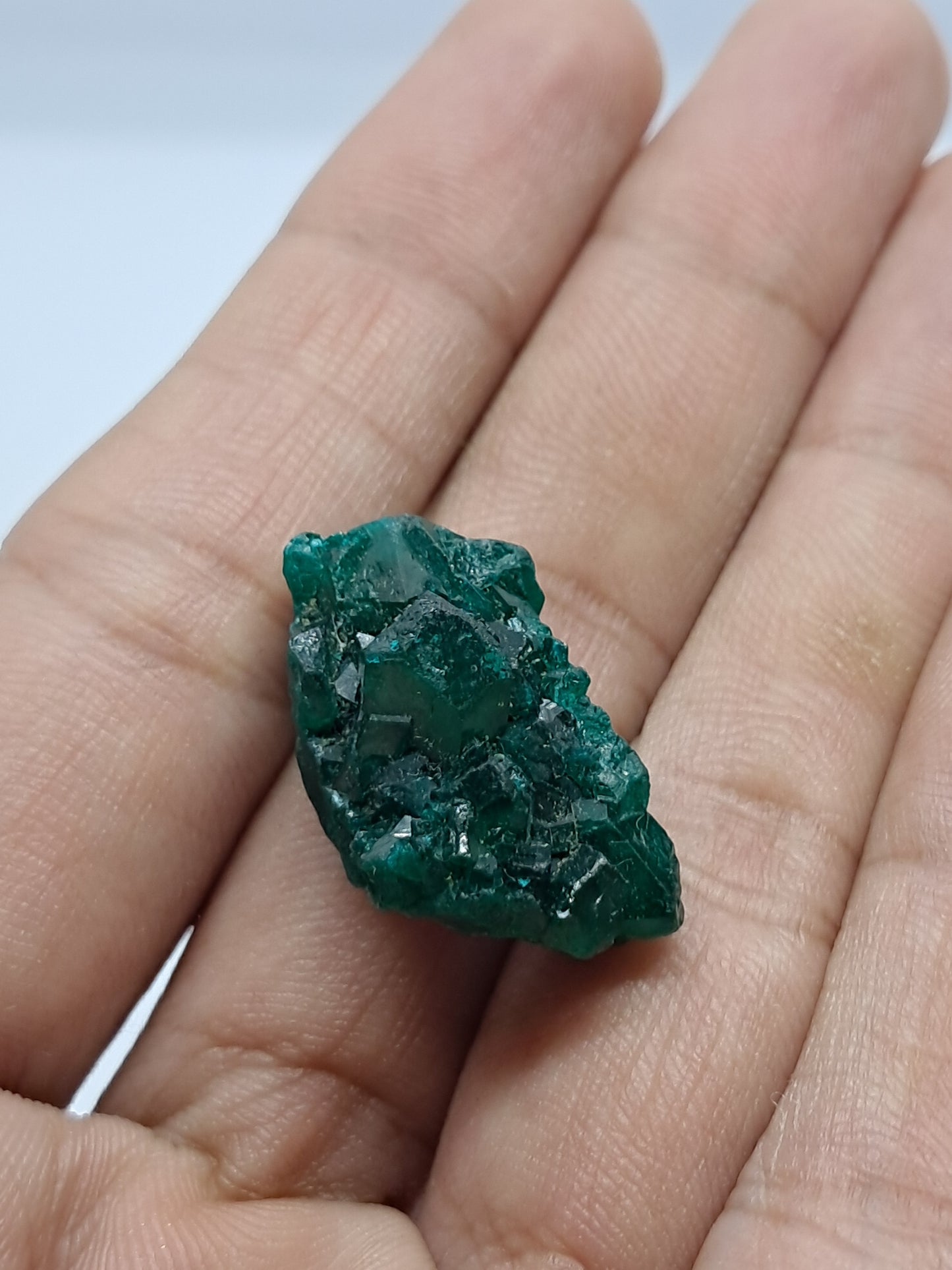Dioptase (DRC) Natural Cluster | Rough Crystal | Mineral Specimen #DPT6