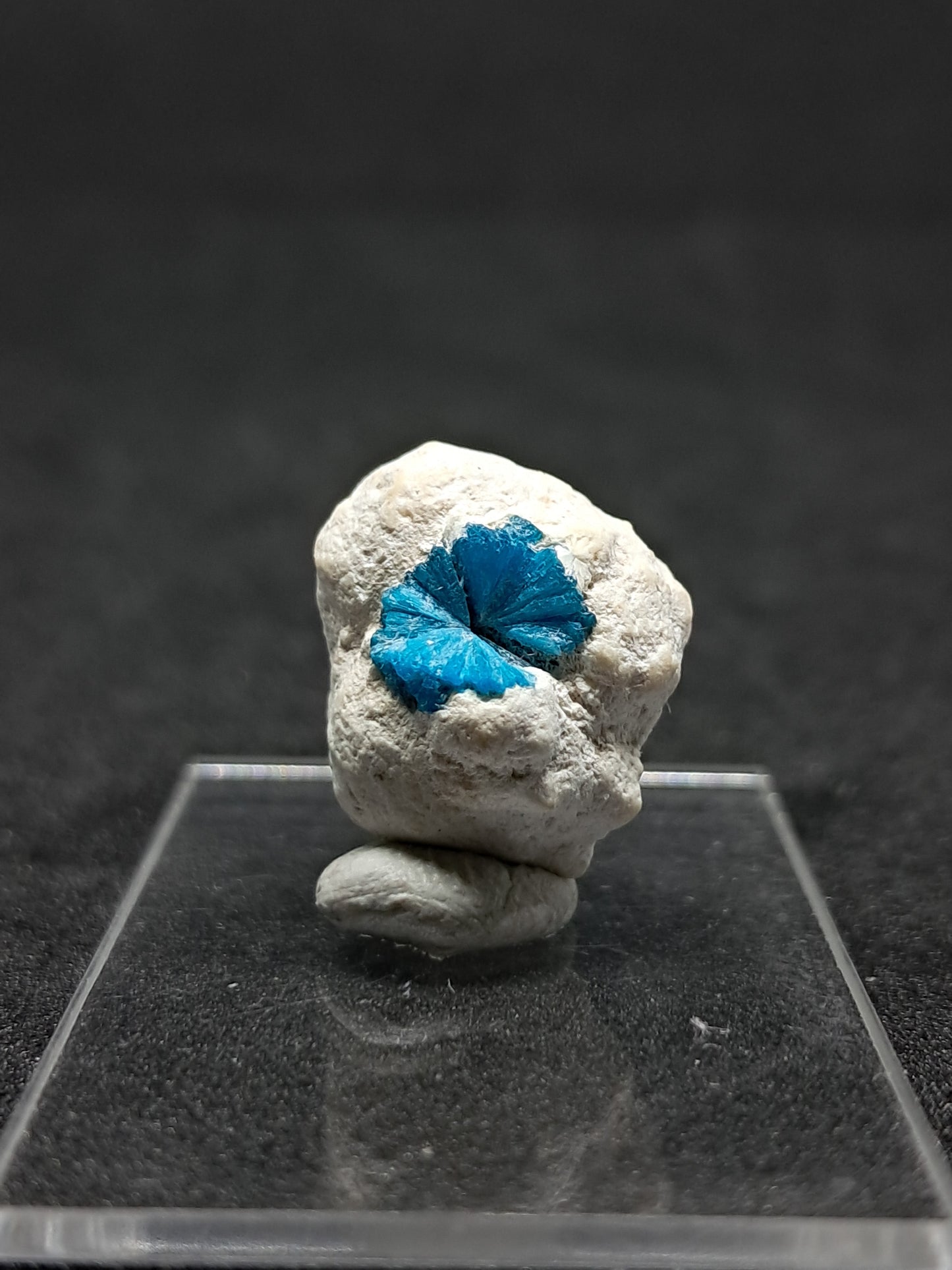 Floater Cavansite in Small Okenite Ball #CV21