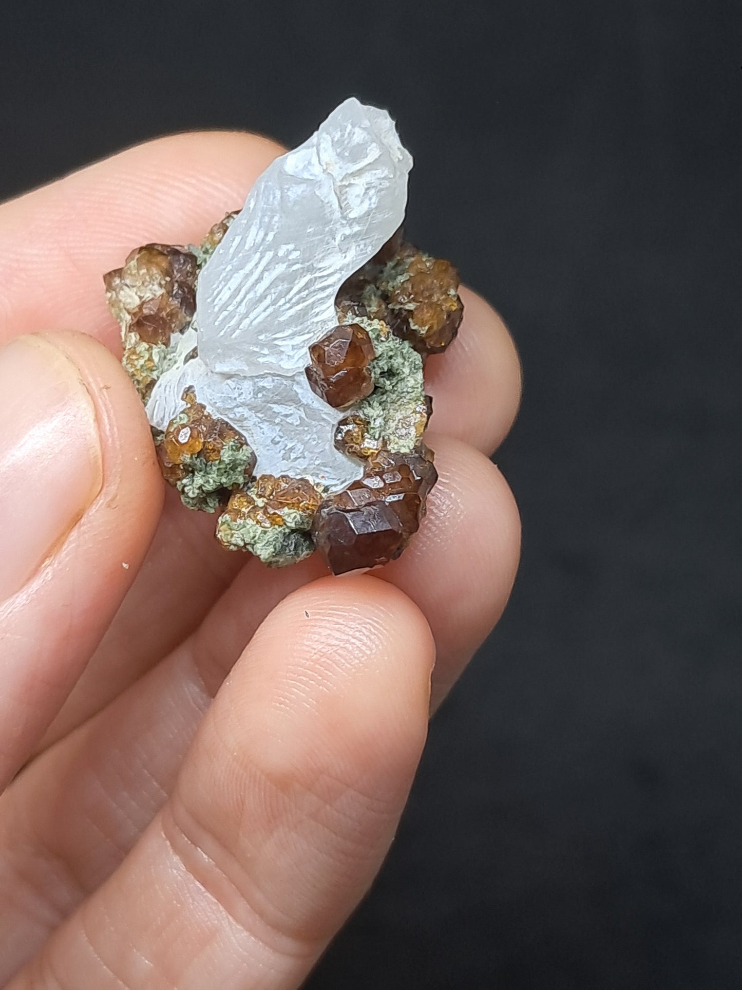 Granate Marrón con Calcita (México) | Cristal en Bruto | Ejemplar Mineral #GR5