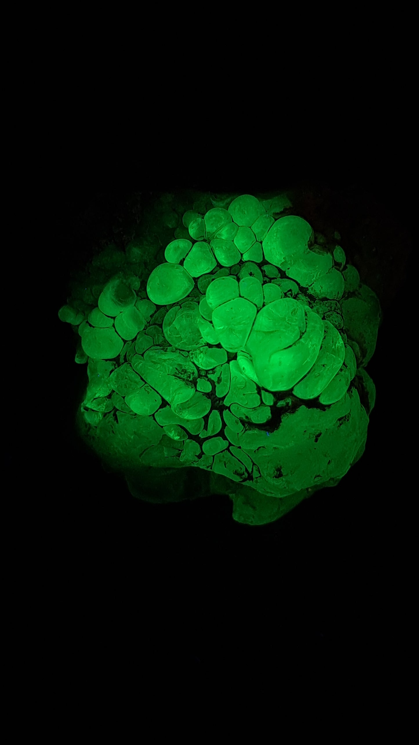Hyalite Opal on Matrix (Mexico) Rough Crystal Stone | UV-Reactive Mineral Specimen #OH7