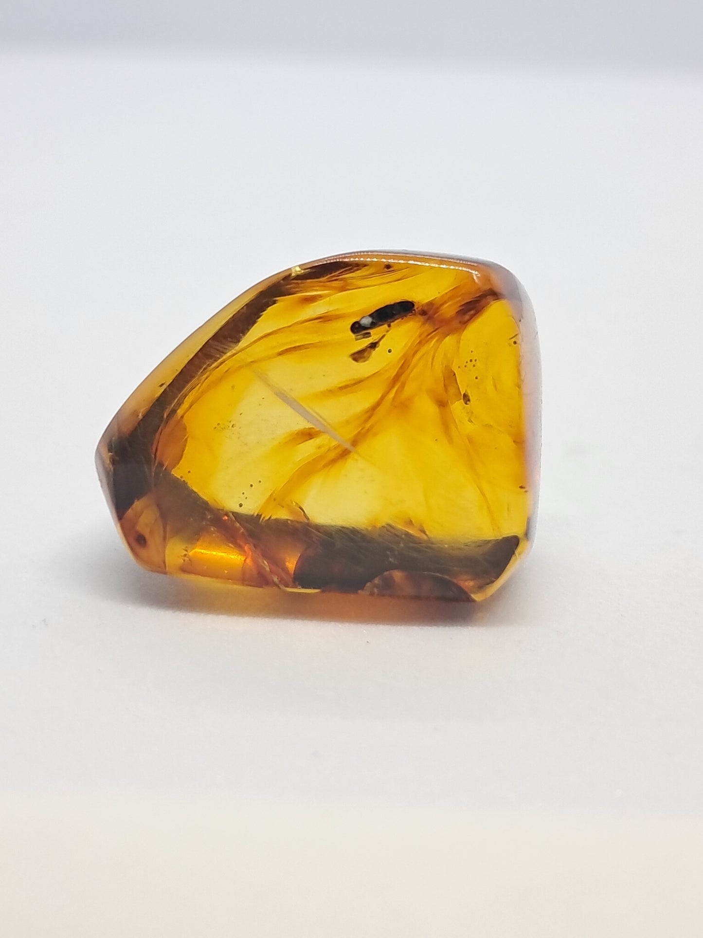 Polished Amber (Mexico) Natural Fossilized Resin | Mineral Specimen #AB3