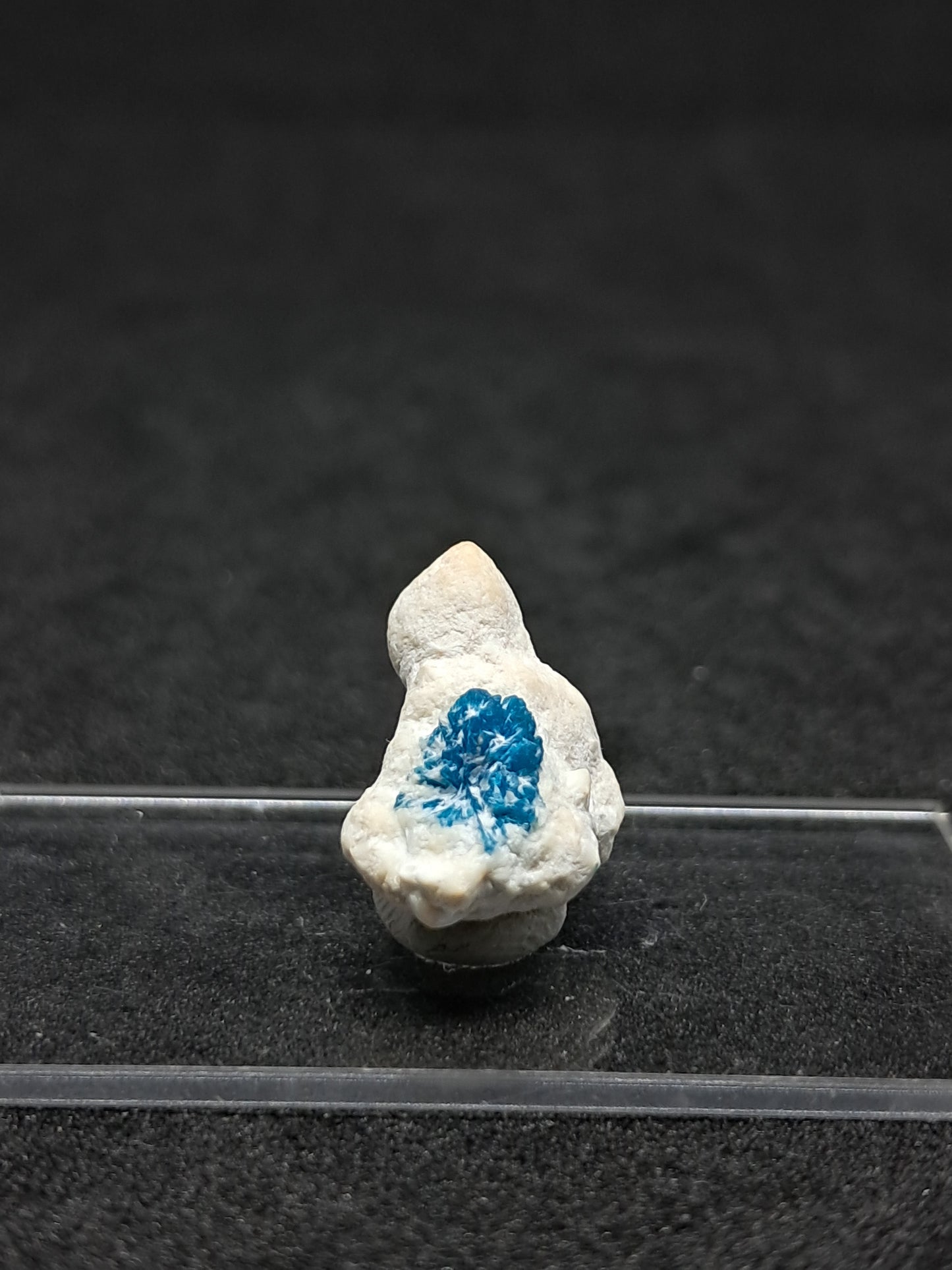 Floater Cavansite in Okenite Ball (Pune) Rough Stone | Natural Crystal | Rare Mineral Specimen #CV23