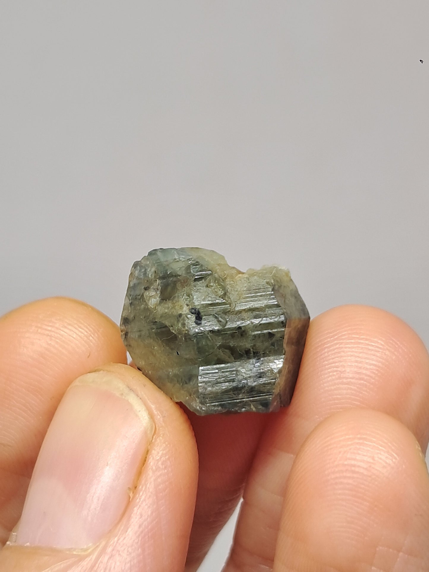 Natural Green Blue Sapphire Crystal (Karur) Rough Stone | Bicolor | Mineral Specimen #SP37