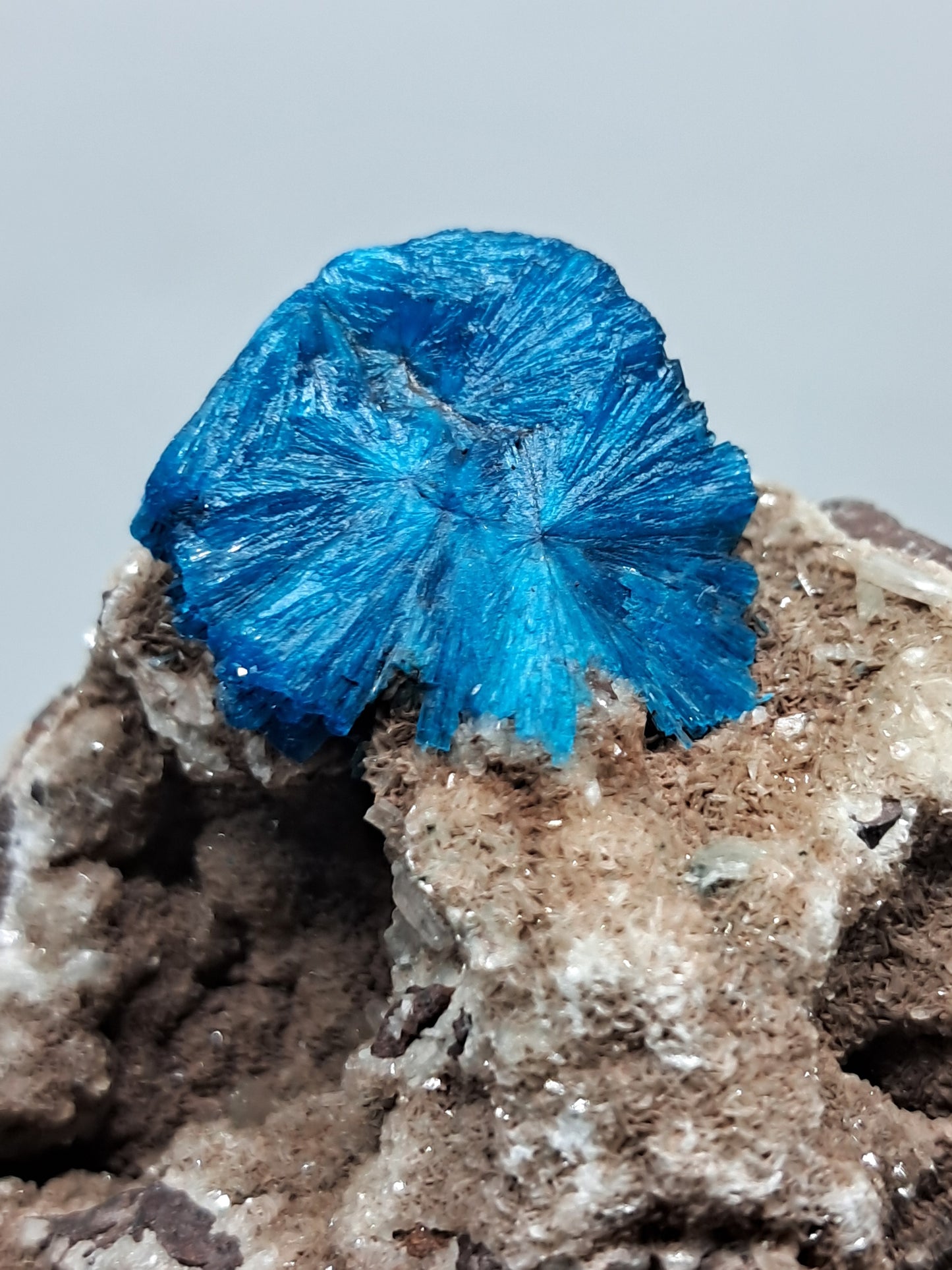 Cavansite on Heulandite Matrix (Wagholi) Rough Stone | Natural Crystal | Rare Mineral Specimen #CV32