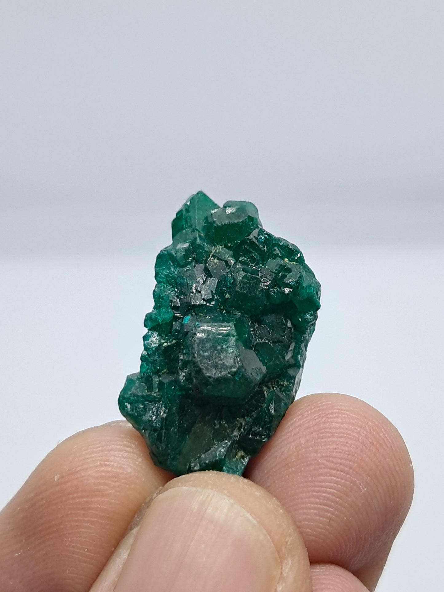 Dioptase (DRC) Natural Cluster | Rough Crystal | Mineral Specimen #DPT6