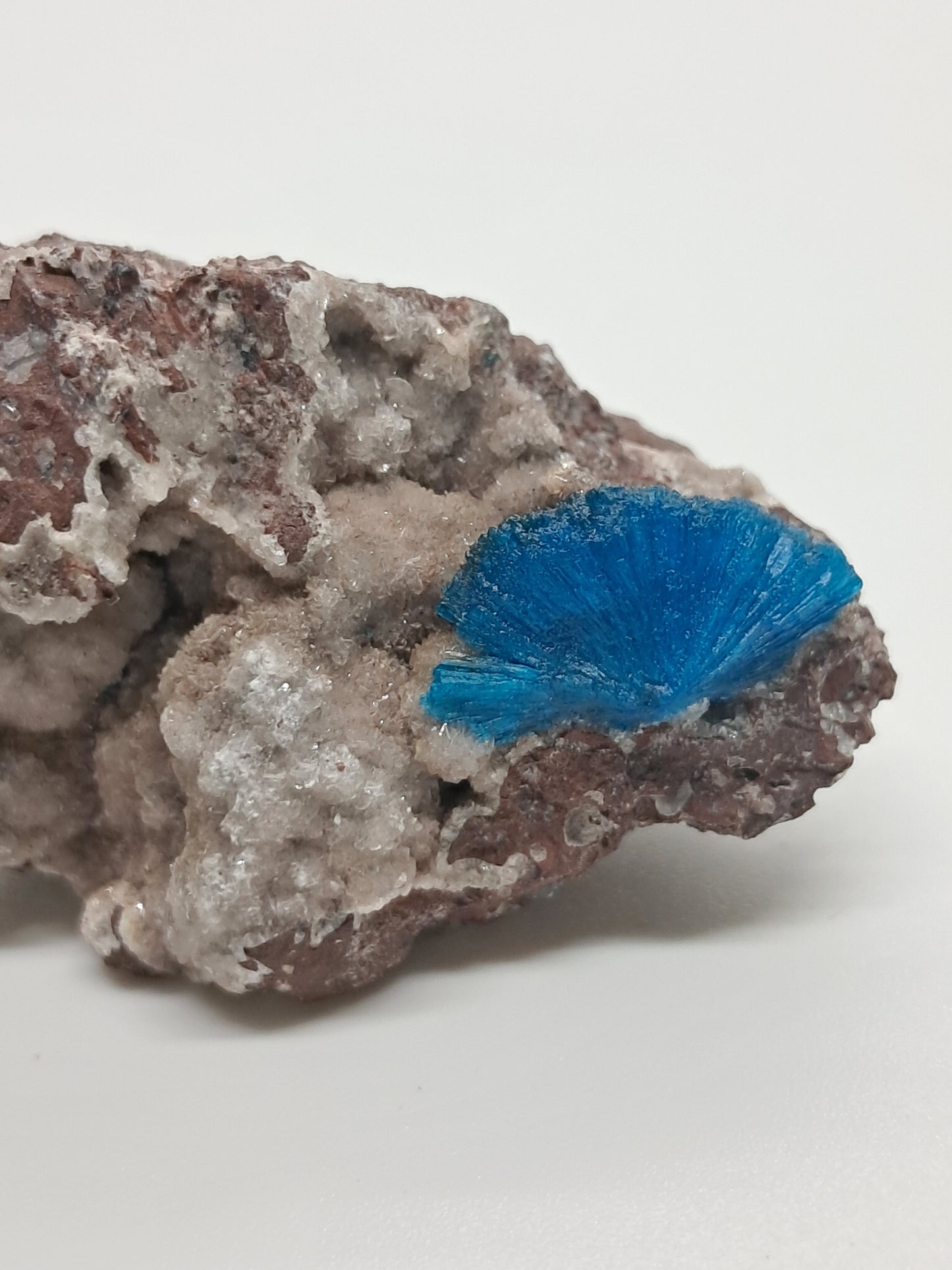 Cavansite and UV Reactive Calcite on Heulandite Matrix (Wagholi) Rough Stone | Natural Crystal | Rare Mineral Specimen #CV30