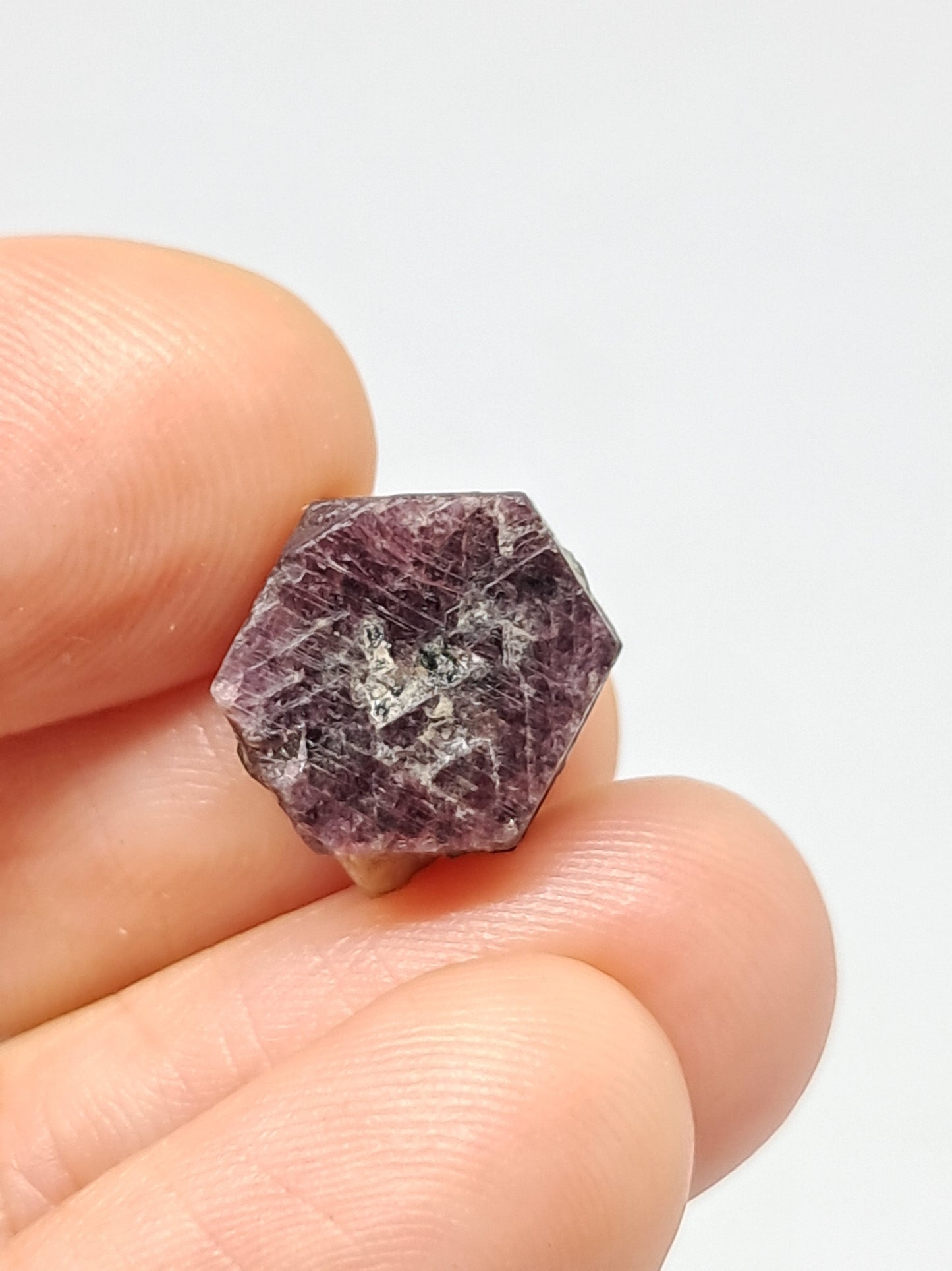 Ruby with record keeper (Non-precious stone) #RB12