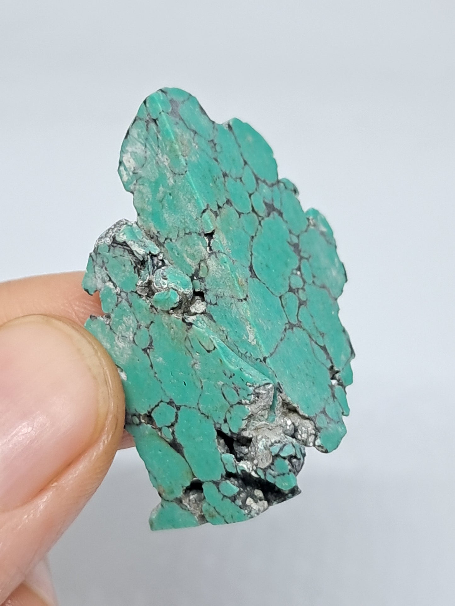 Tibetan Turquoise Stabilized Natural Stone | Mineral Specimen #TT4