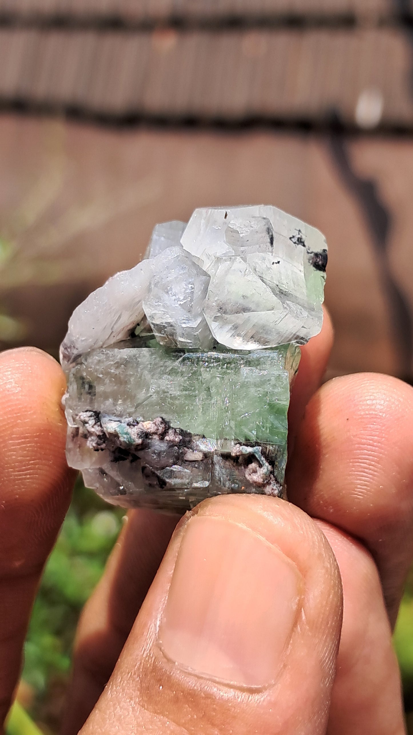 Green Apophyllite (Fluorapophyllite) (Ajanta) Natural Crystal | Mineral Specimen #GA28