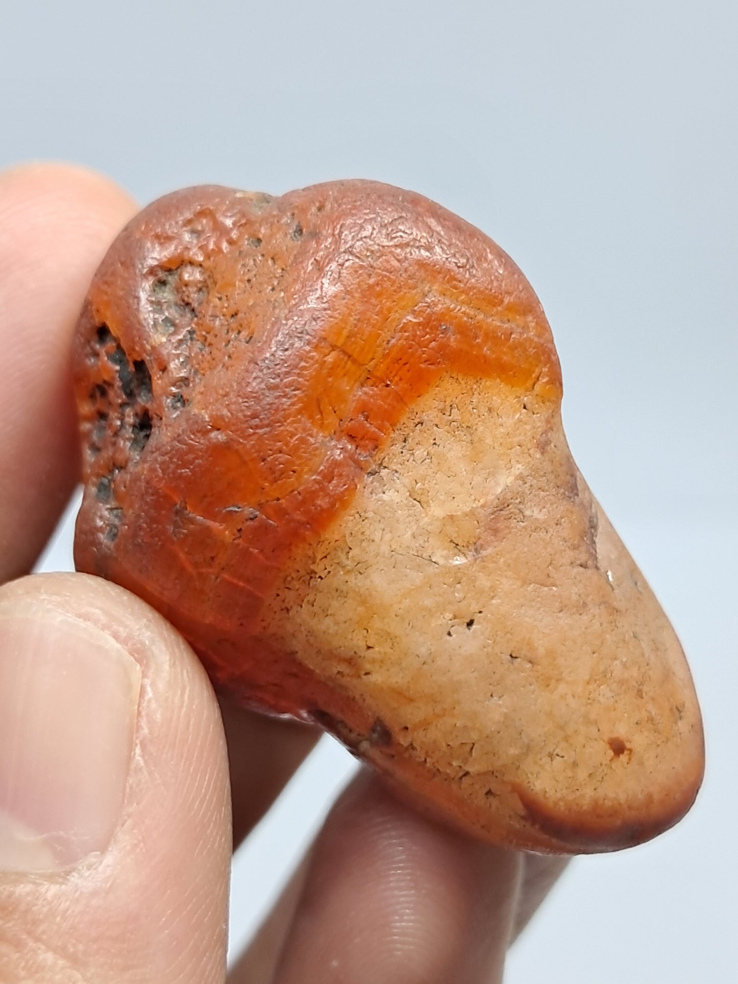 Rough Carnelian (India) Raw Stone | Natural Crystal | Mineral Specimen #CRN7