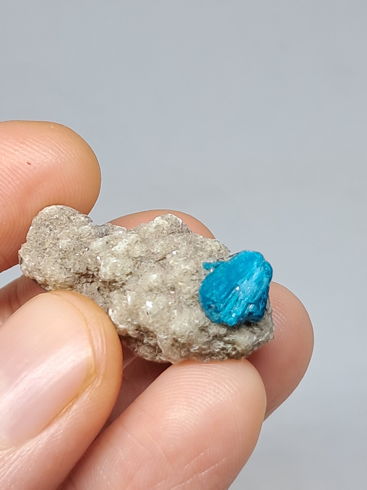 Set of Cavansite & Pentagonite on Matrix (Wagholi) Rough Stone | Natural Crystal | Rare Mineral Specimen #CV42