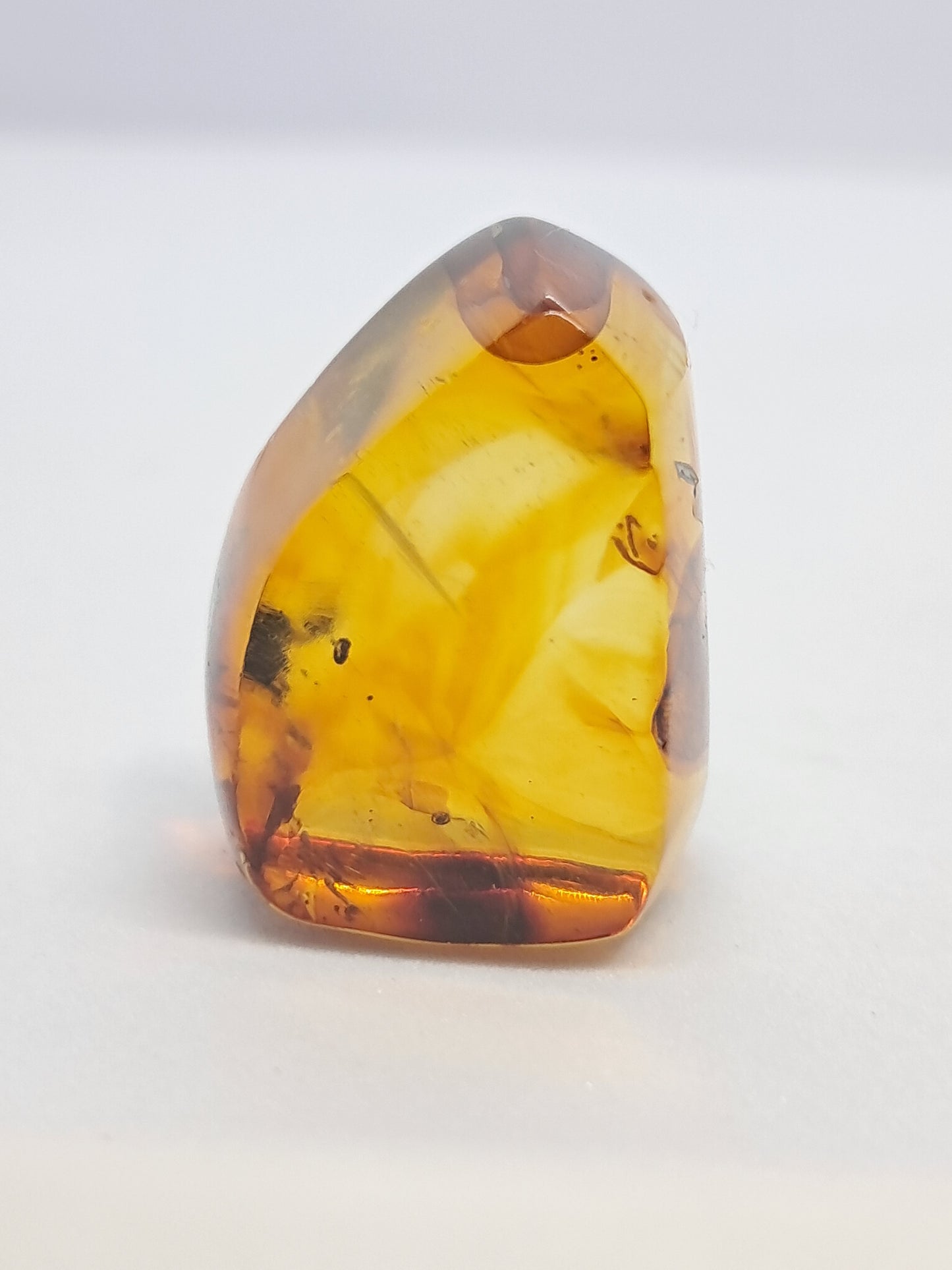 Polished Amber (Mexico) Natural Fossilized Resin | Mineral Specimen #AB3