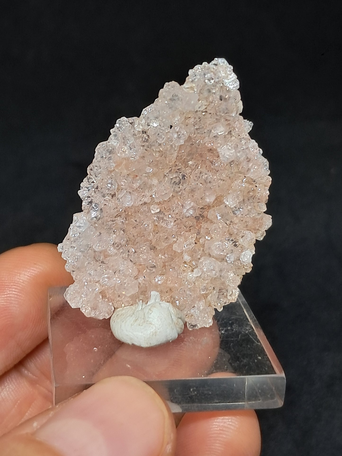 Pink Apophyllite On Quartz Floater Cluster (Ajanta) Natural Crystal | Mineral Specimen #APP1