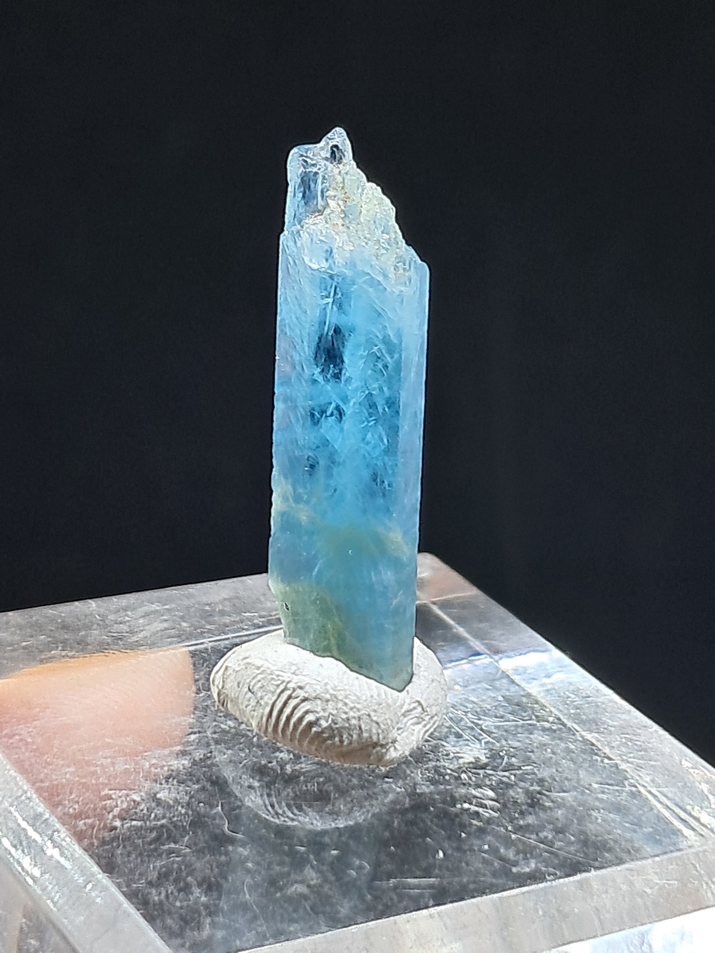Aguamarina de alta calidad (Karur) en bruto, cristal hexagonal | Ejemplar mineral n.° AQM18