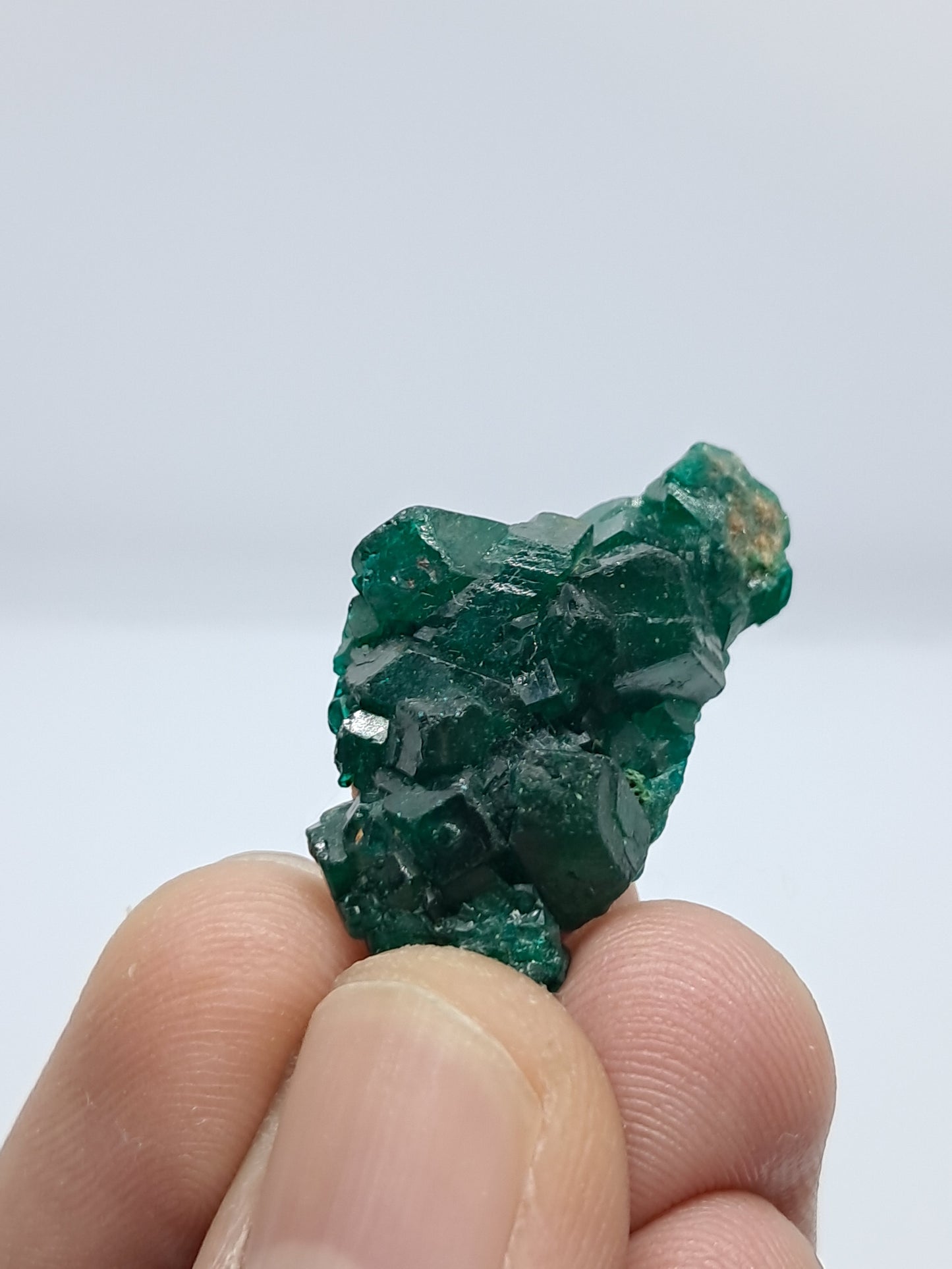 Dioptase (Non-precious Natural Stone) #DPT5