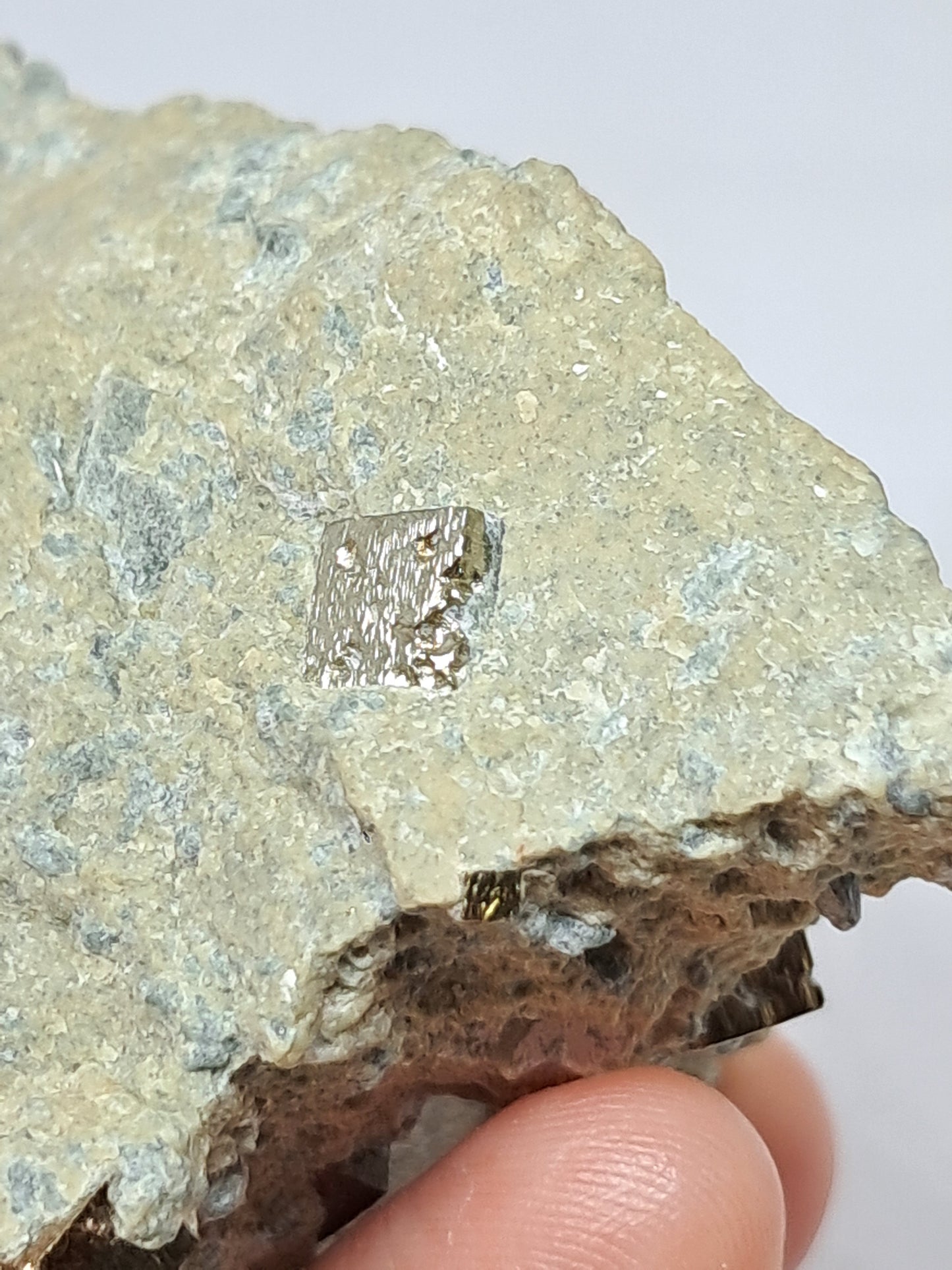 Cubos de pirita en matriz (España) Cristal natural | Ejemplar mineral n.° PR15