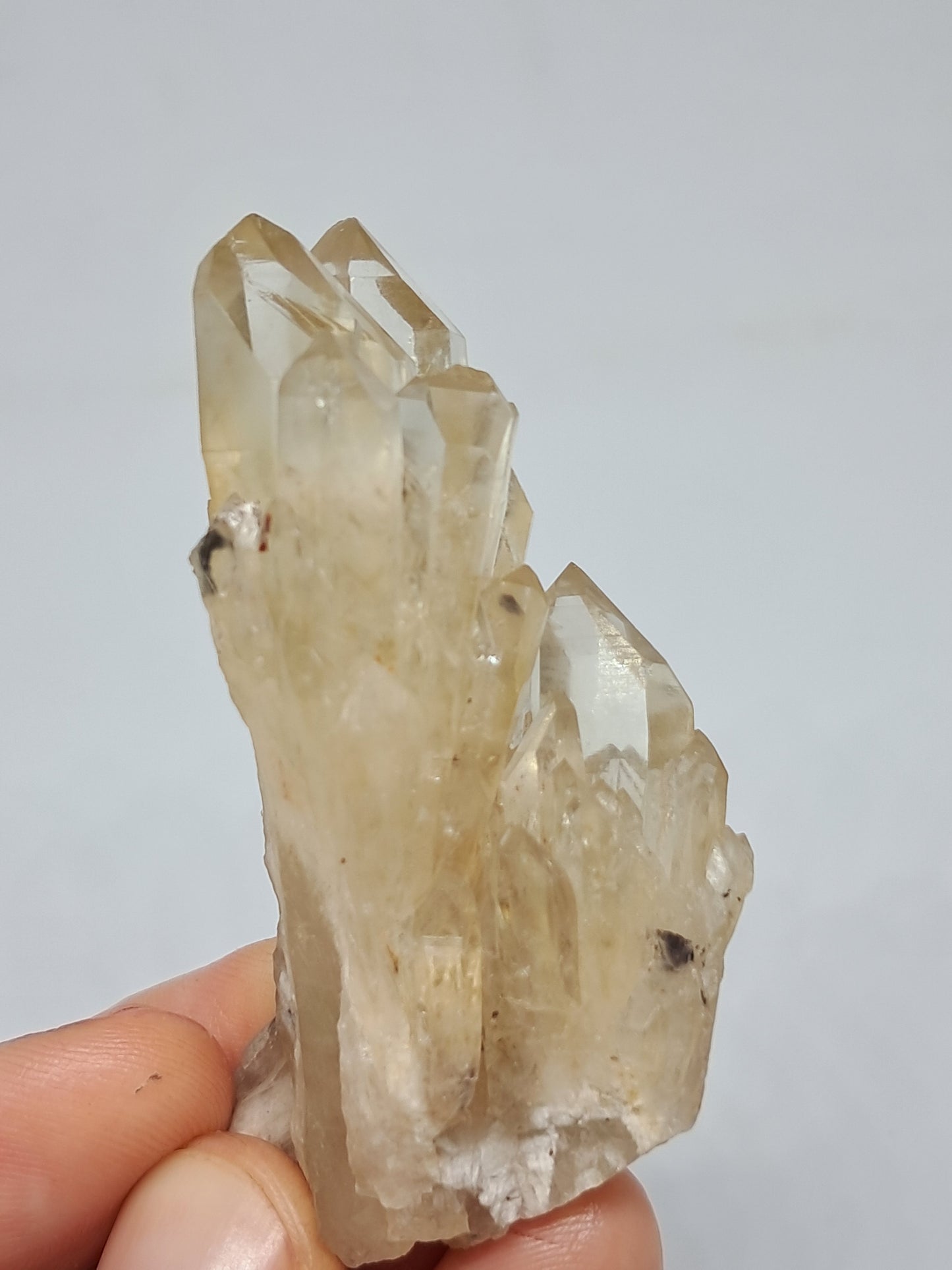 Natural Citrine "Kundalini" (Democratic Republic of Congo) Crystal Point | Mineral Specimen #CTN9