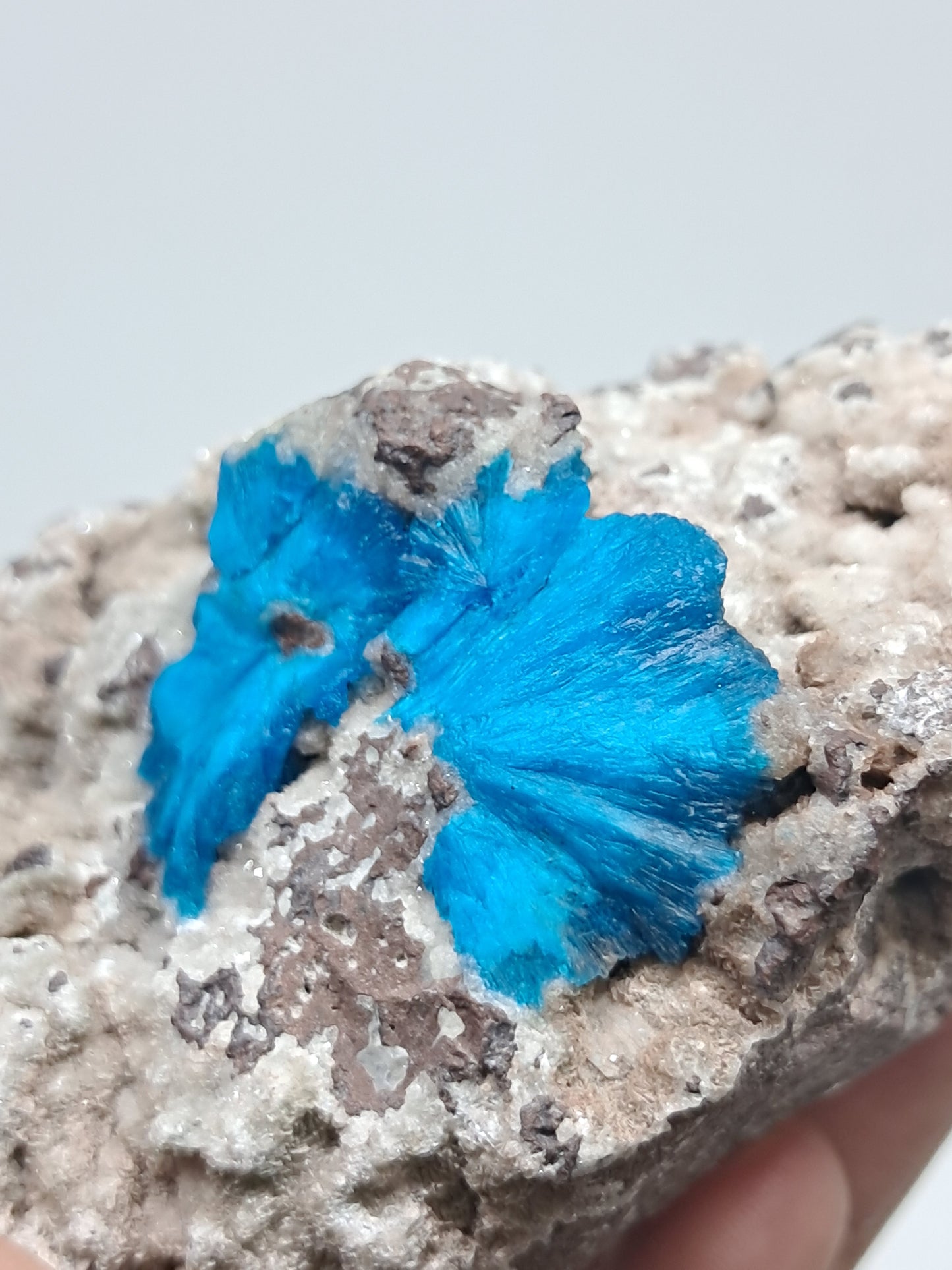 Cavansite on Heulandite Matrix (Wagholi) Rough Stone | Natural Crystal | Rare Mineral Specimen #CV33