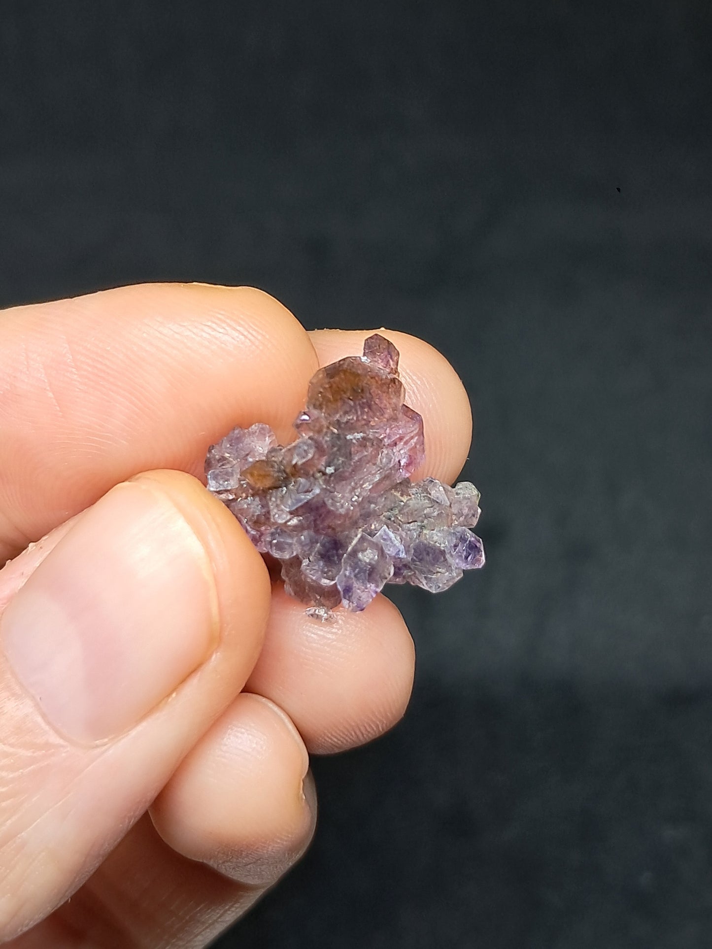 Set of 3 Amethyst from Karur w/ "Super Seven" Inclusions | Natural Crystals | Mineral Specimen #KA167
