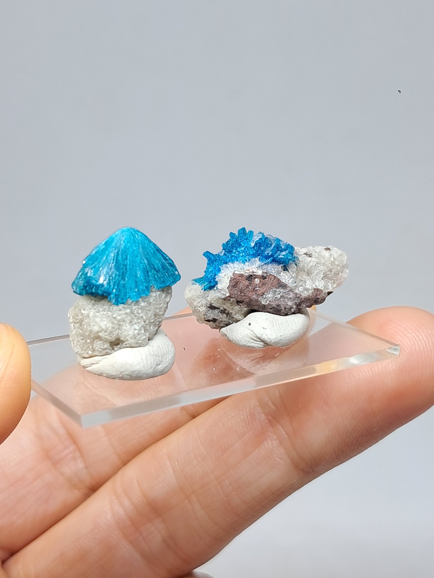 Set of Cavansite & Pentagonite on Matrix (Wagholi) Rough Stone | Natural Crystal | Rare Mineral Specimen #CV40