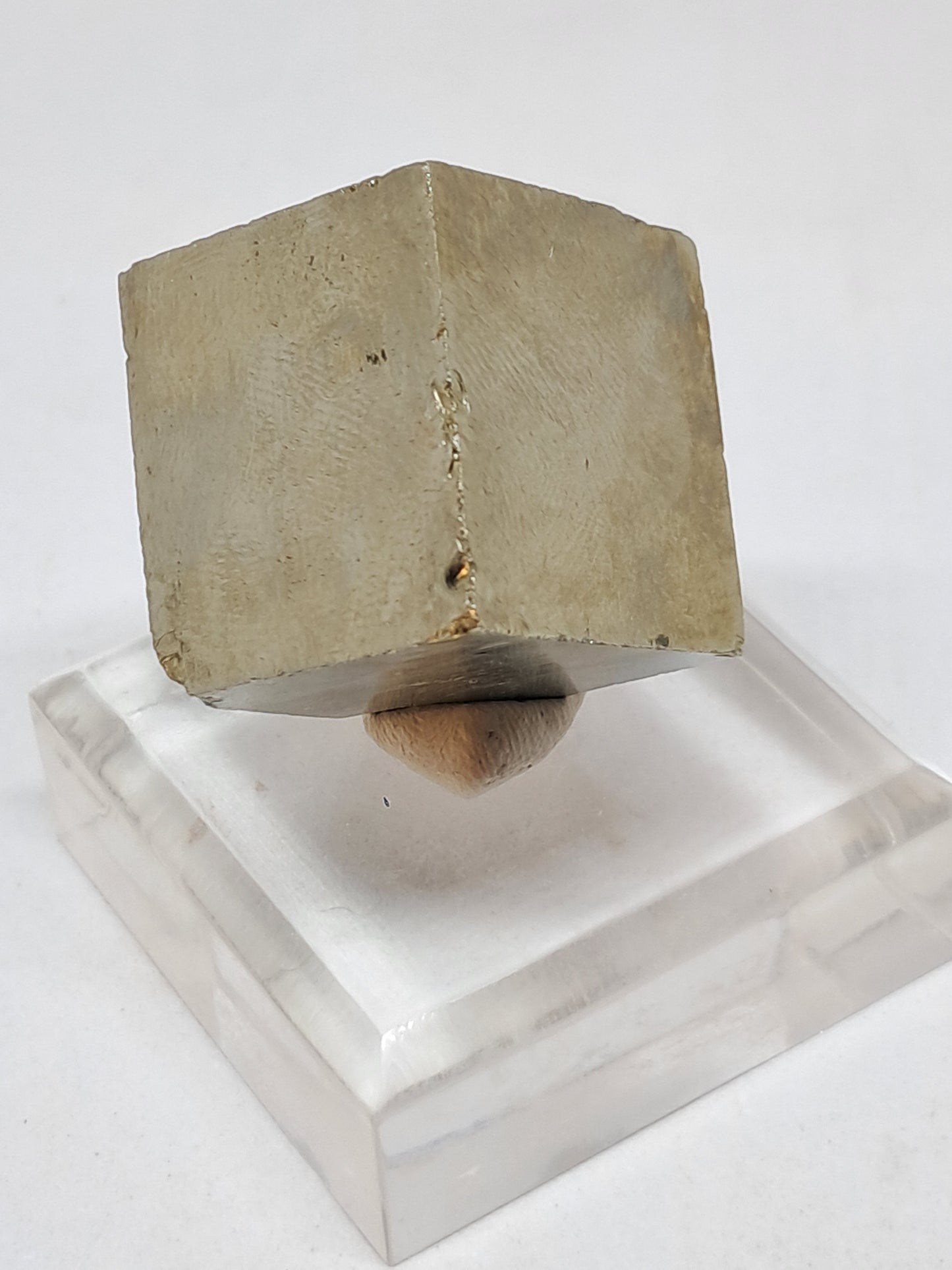Pirita en bruto (España), cristal natural | Calidad de coleccionista n.° PR18