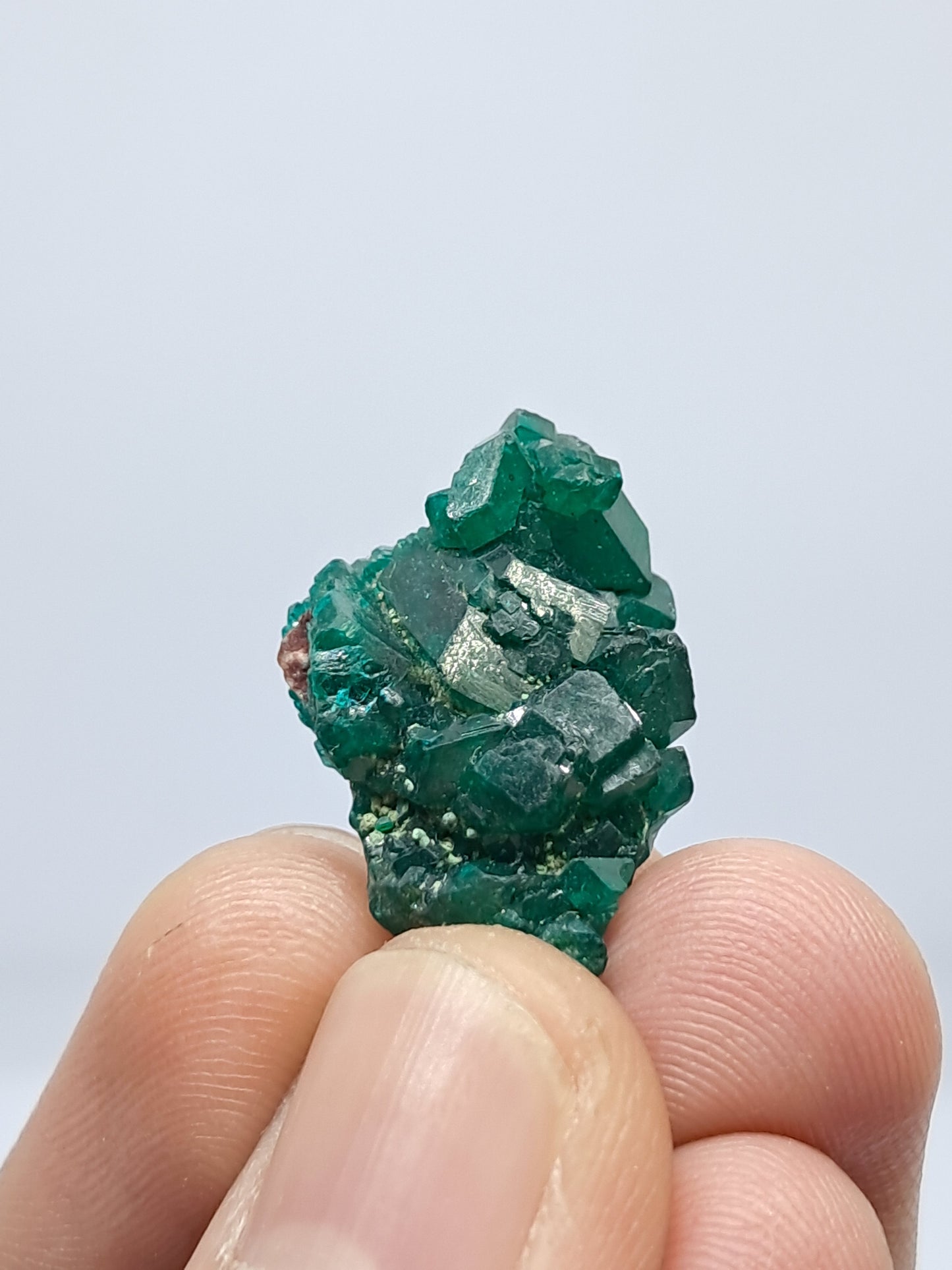 Dioptase (Democratic Republic of Congo) Natural Cluster | Rough Crystal | Mineral Specimen #DPT3
