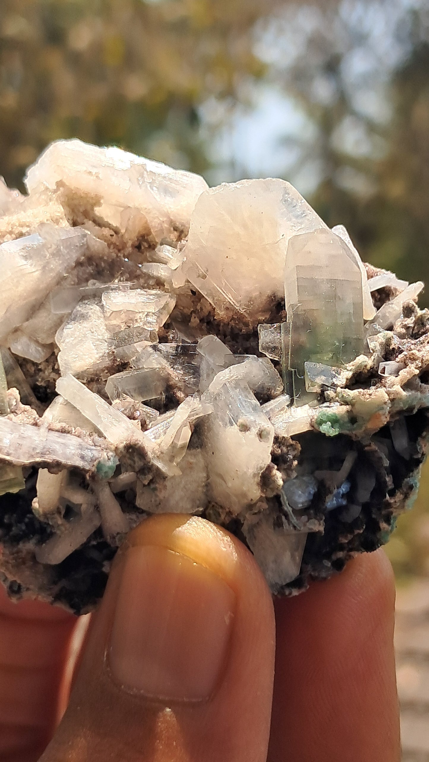 Apofilita Verde (Fluorapofilita) con Estilbita en Matriz (Ajanta) Cristal Natural | Muestra Mineral #GA17