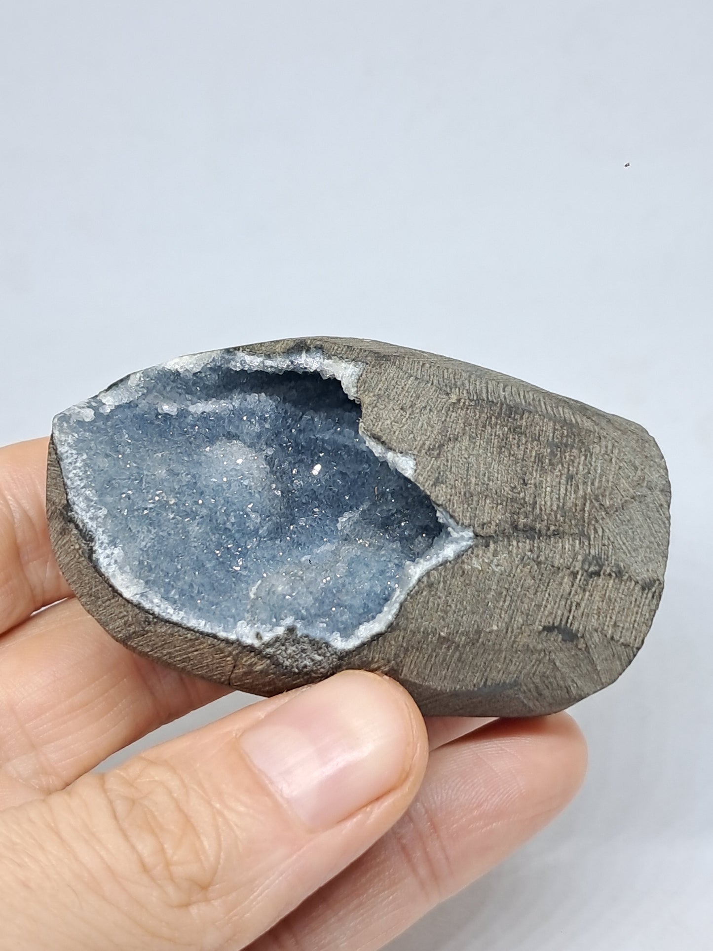 Grey / Blue Chalcedony in Basalt Geode (Nashik) | Natural Crystal | Rare Mineral #BC12