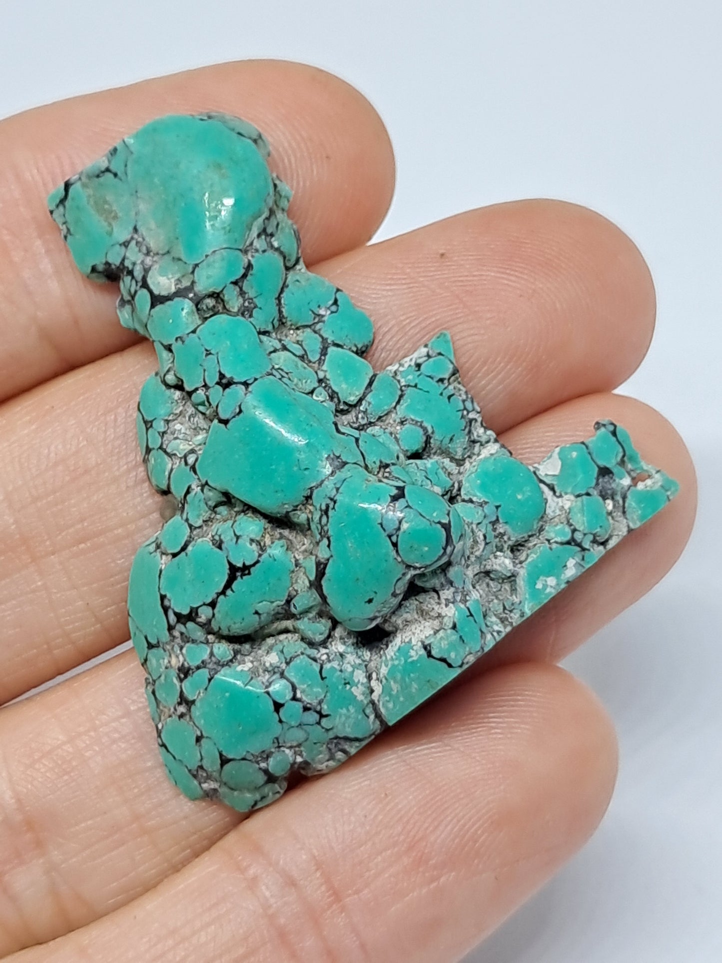 Natural Tibetan Turquoise (Non-precious stone) #TT2