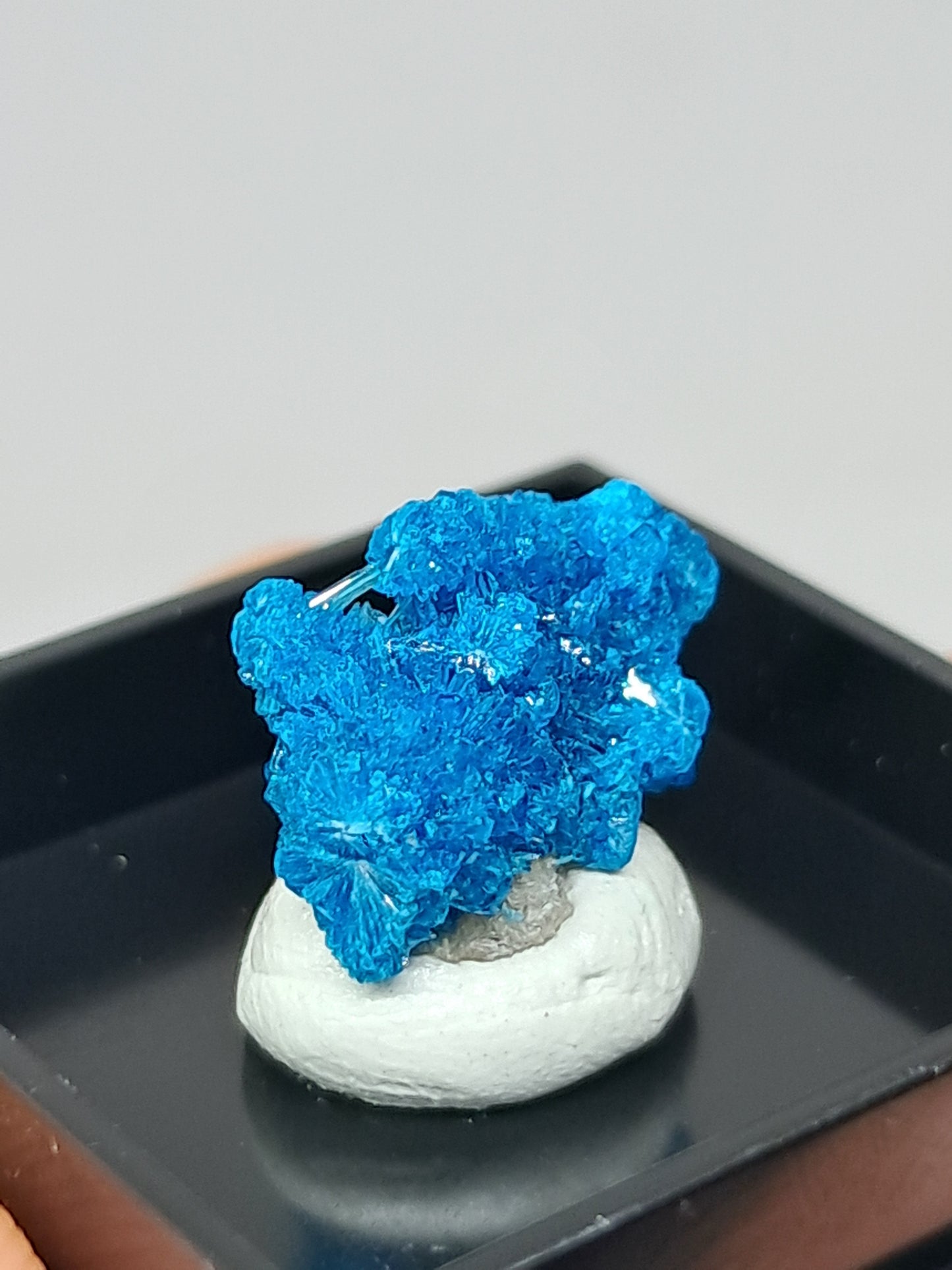 Pentagonite (Wagholi) Rough Stone | Natural Crystal | Rare Mineral Specimen #CV57