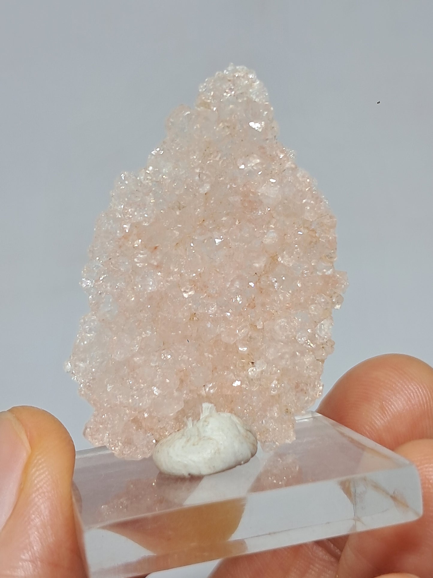 Pink Apophyllite On Quartz Floater Cluster (Ajanta) Natural Crystal | Mineral Specimen #APP1