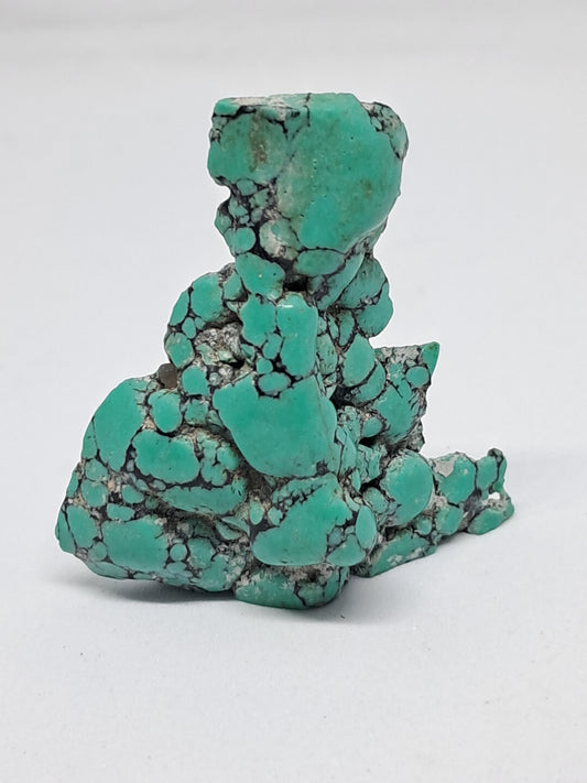 Piedra natural estabilizada de turquesa tibetana | Ejemplar mineral n.° TT2