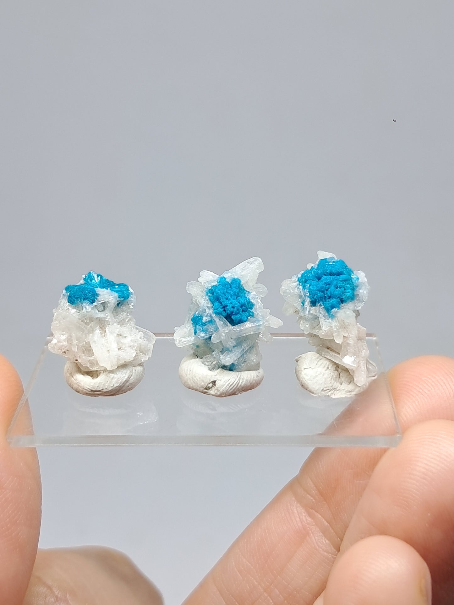 Set of 3 Small Cavansites on Stilbite Matrix (Wagholi) Rough Stone | Natural Crystal | Rare Mineral Specimen #CV39