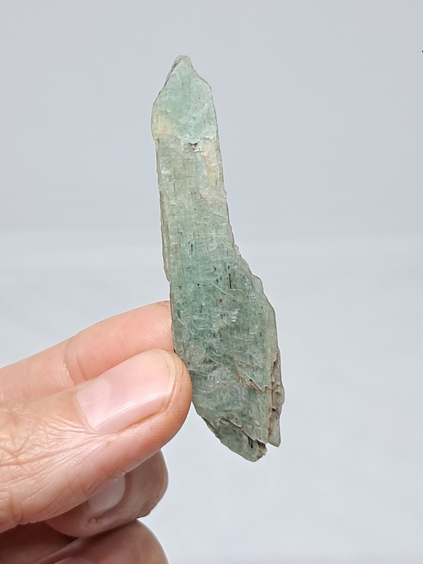 Green Kyanite (Tamil Nadu) Natural Crystal #KY9