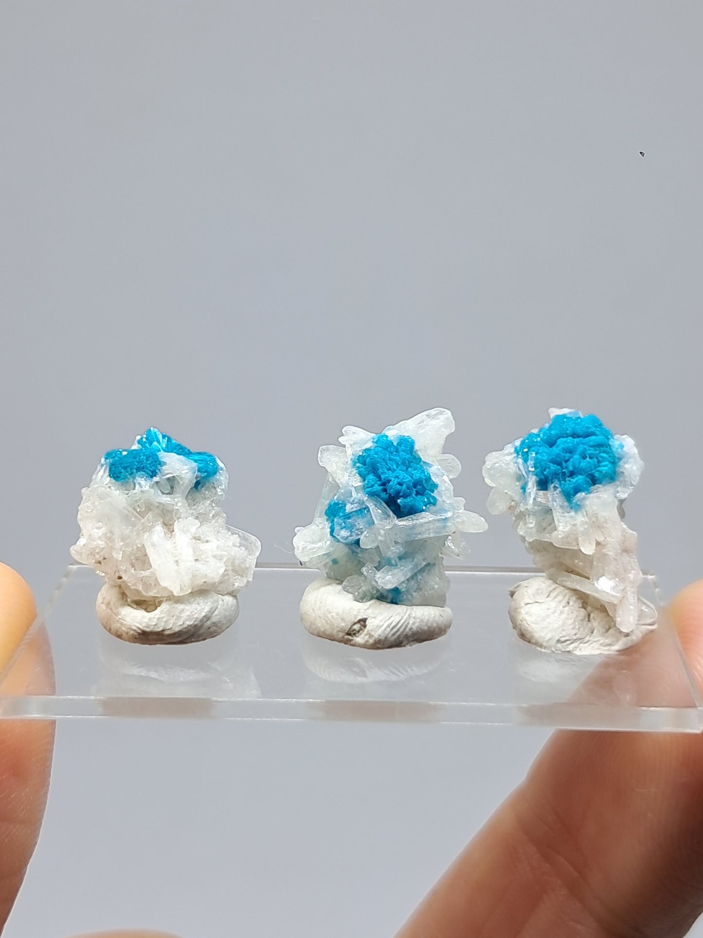 Set of 3 Small Cavansites on Stilbite Matrix (Wagholi) Rough Stone | Natural Crystal | Rare Mineral Specimen #CV39