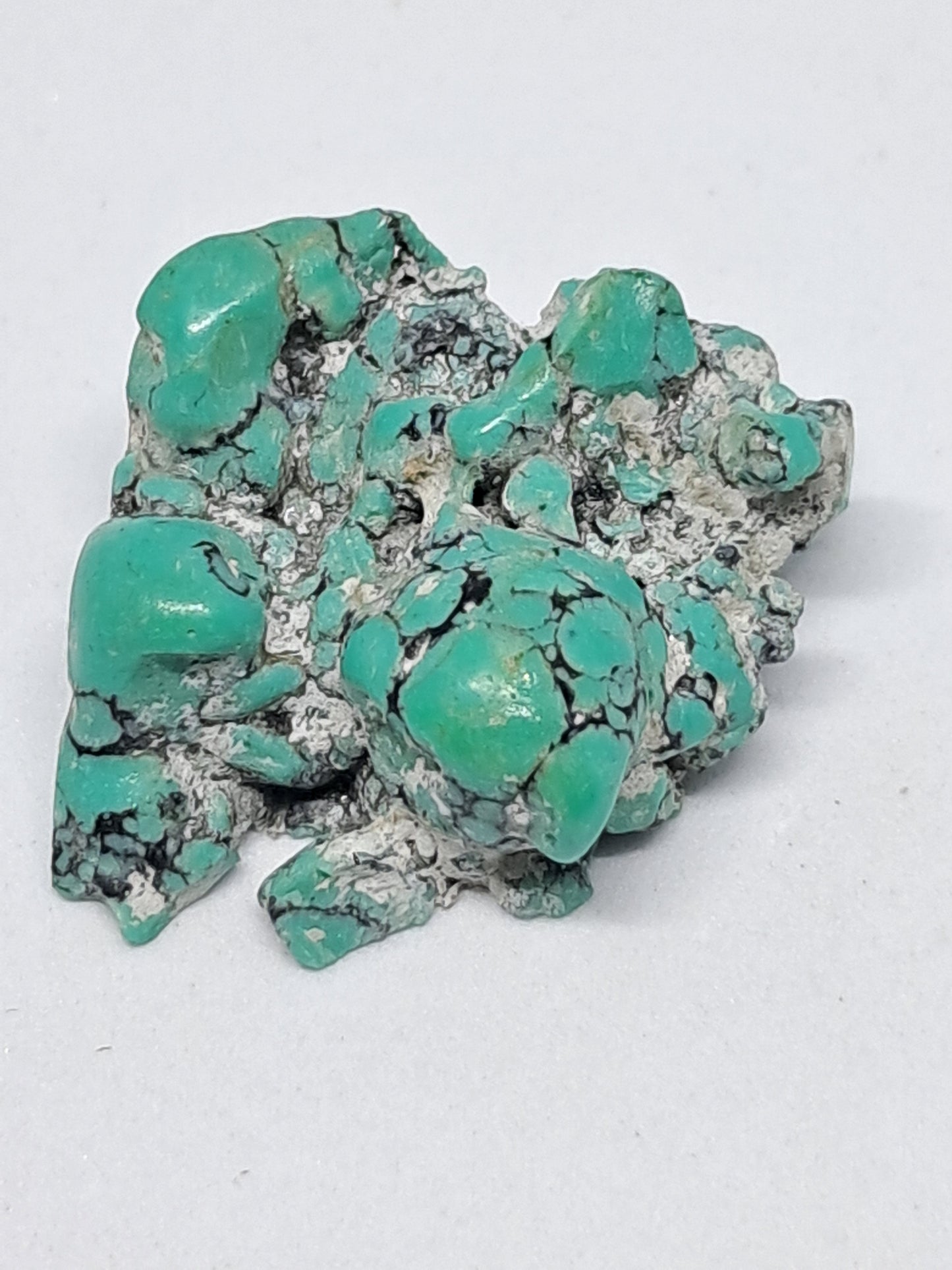 Tibetan Turquoise Stabilized Natural Stone | Mineral Specimen #TT8