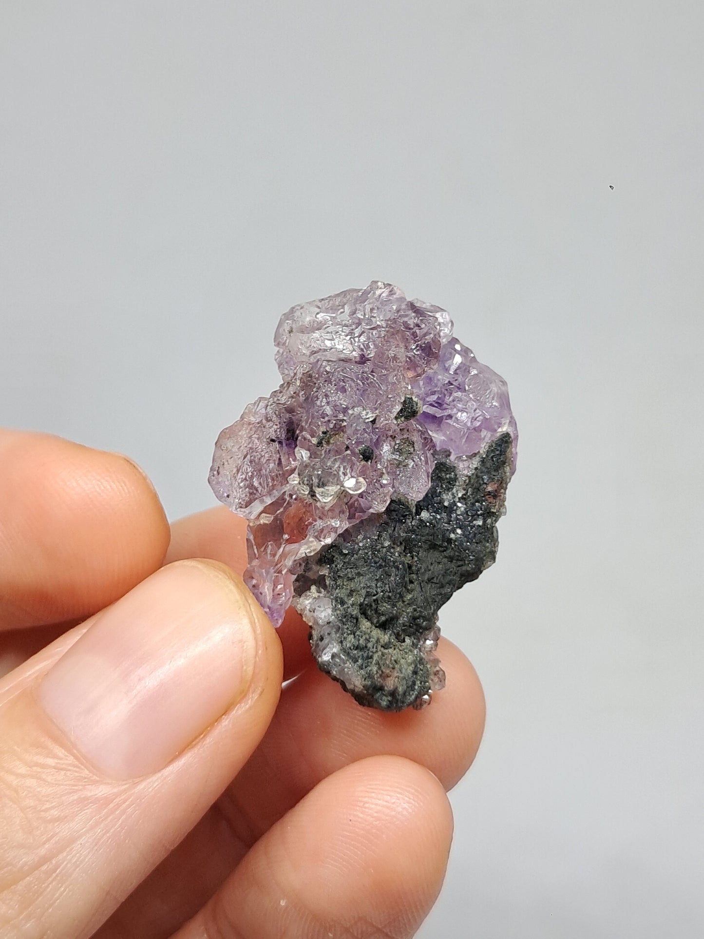 Amatista en matriz de limonita (Karur) | Cristal en bruto | Piedra natural | Ejemplar mineral n.° KA122