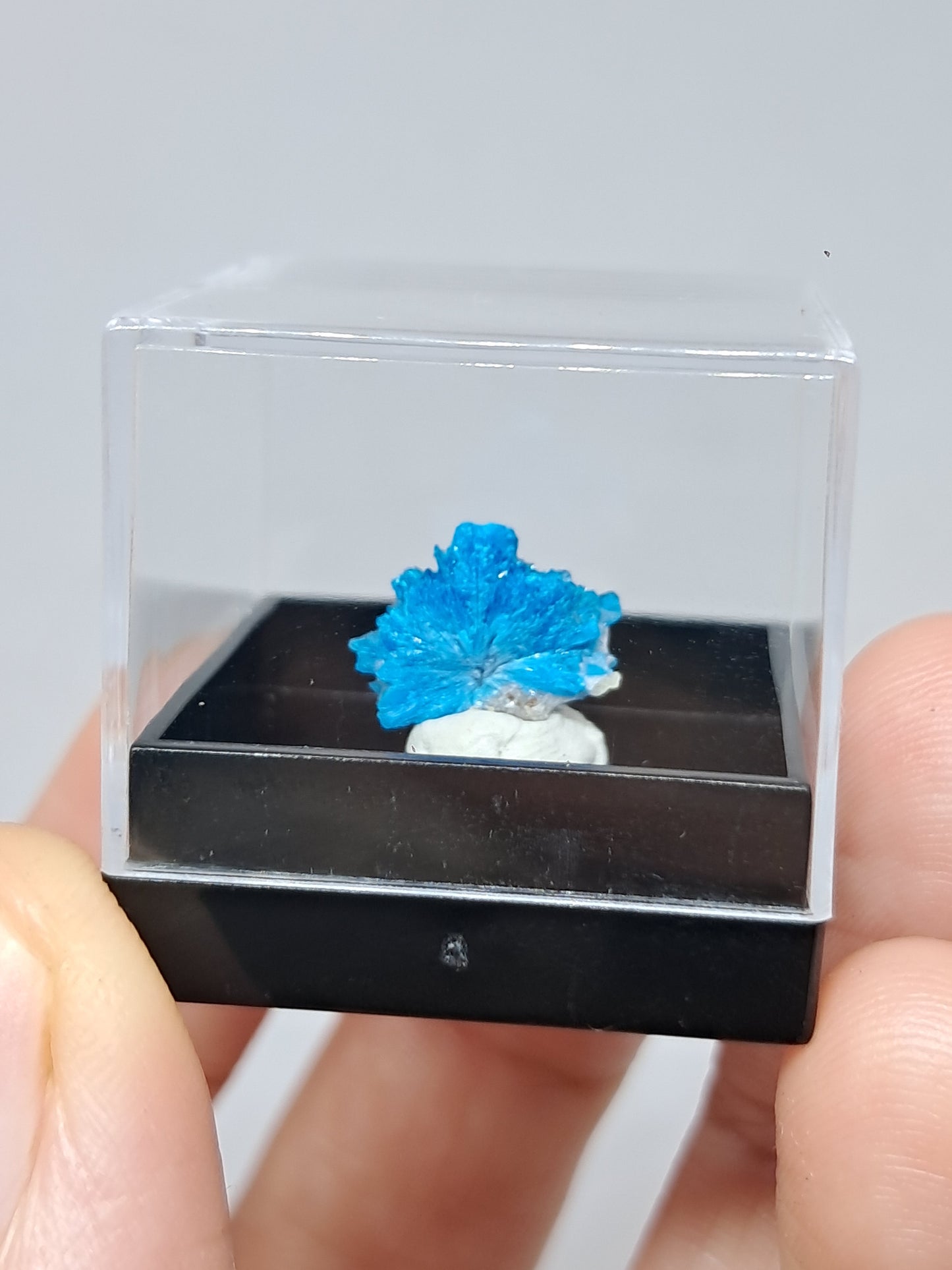 Pentagonite (Pune) Rough Stone | Natural Crystal | Rare Mineral Specimen #CV56