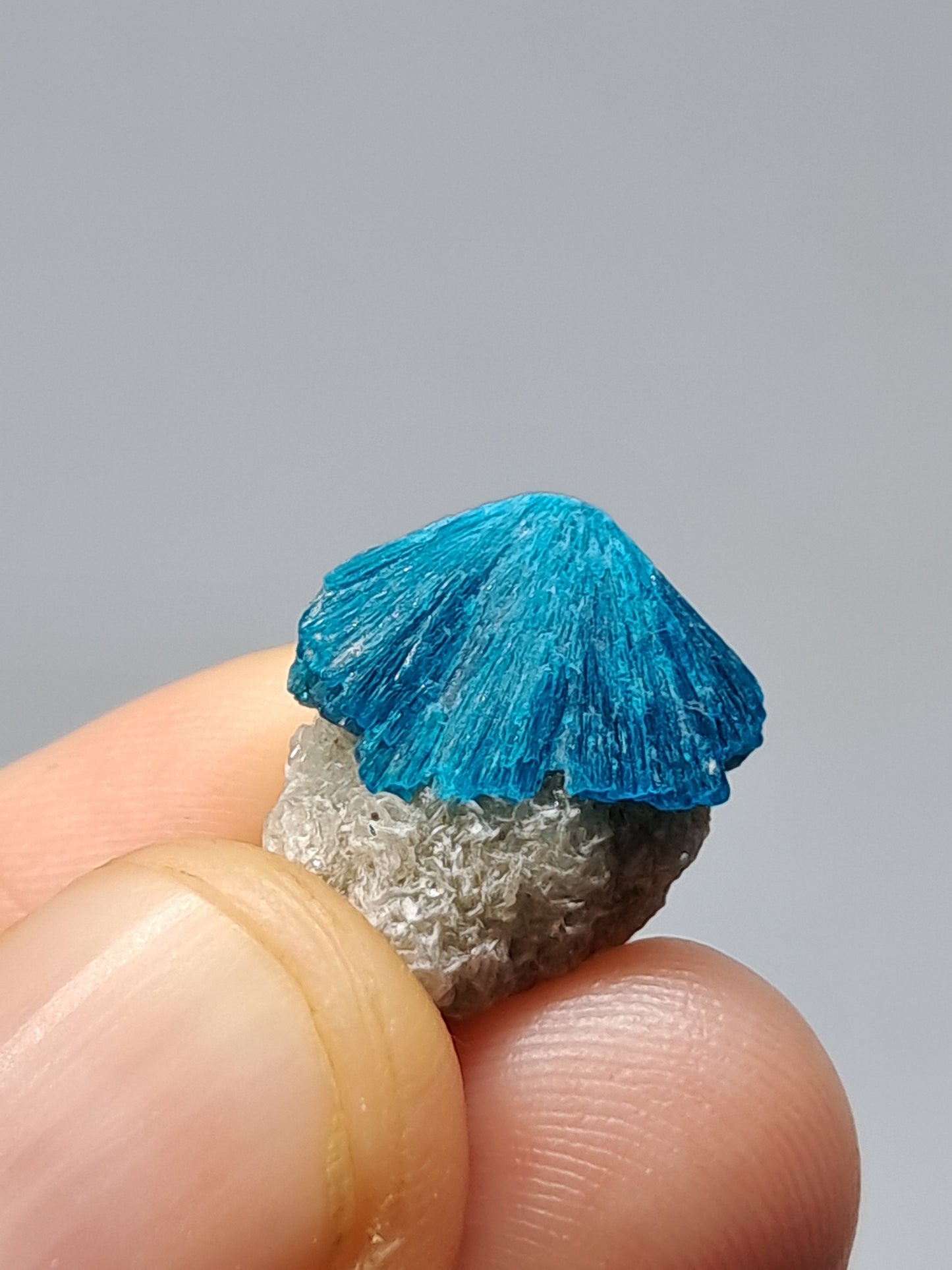 Set of Cavansite & Pentagonite on Matrix (Wagholi) Rough Stone | Natural Crystal | Rare Mineral Specimen #CV40