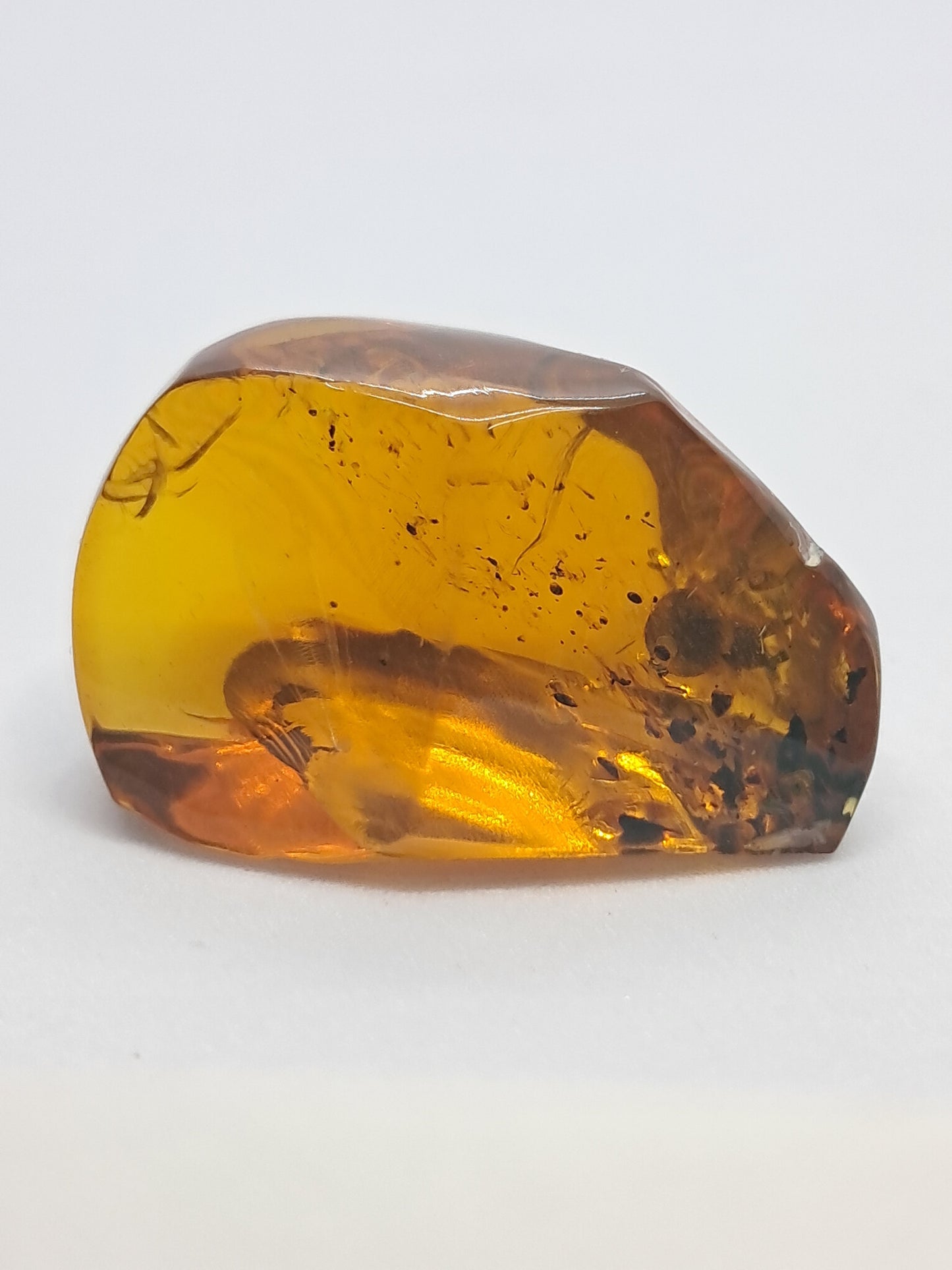 Amber (Non-precious stone) #AB4
