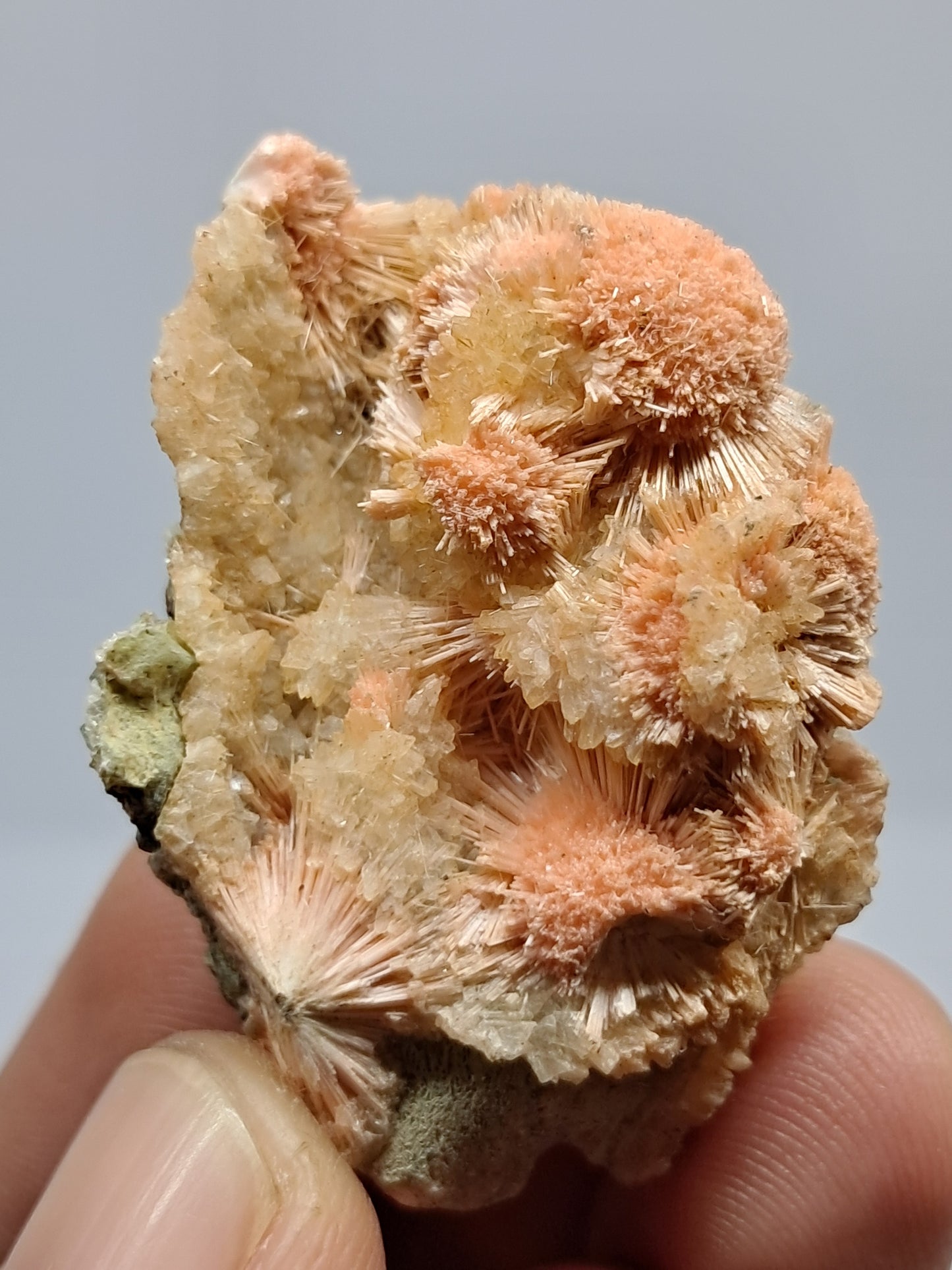 Mesolite w/ Hematite Inclusion (Madhya Pradesh) Natural Crystal| Mineral Specimen #MS21
