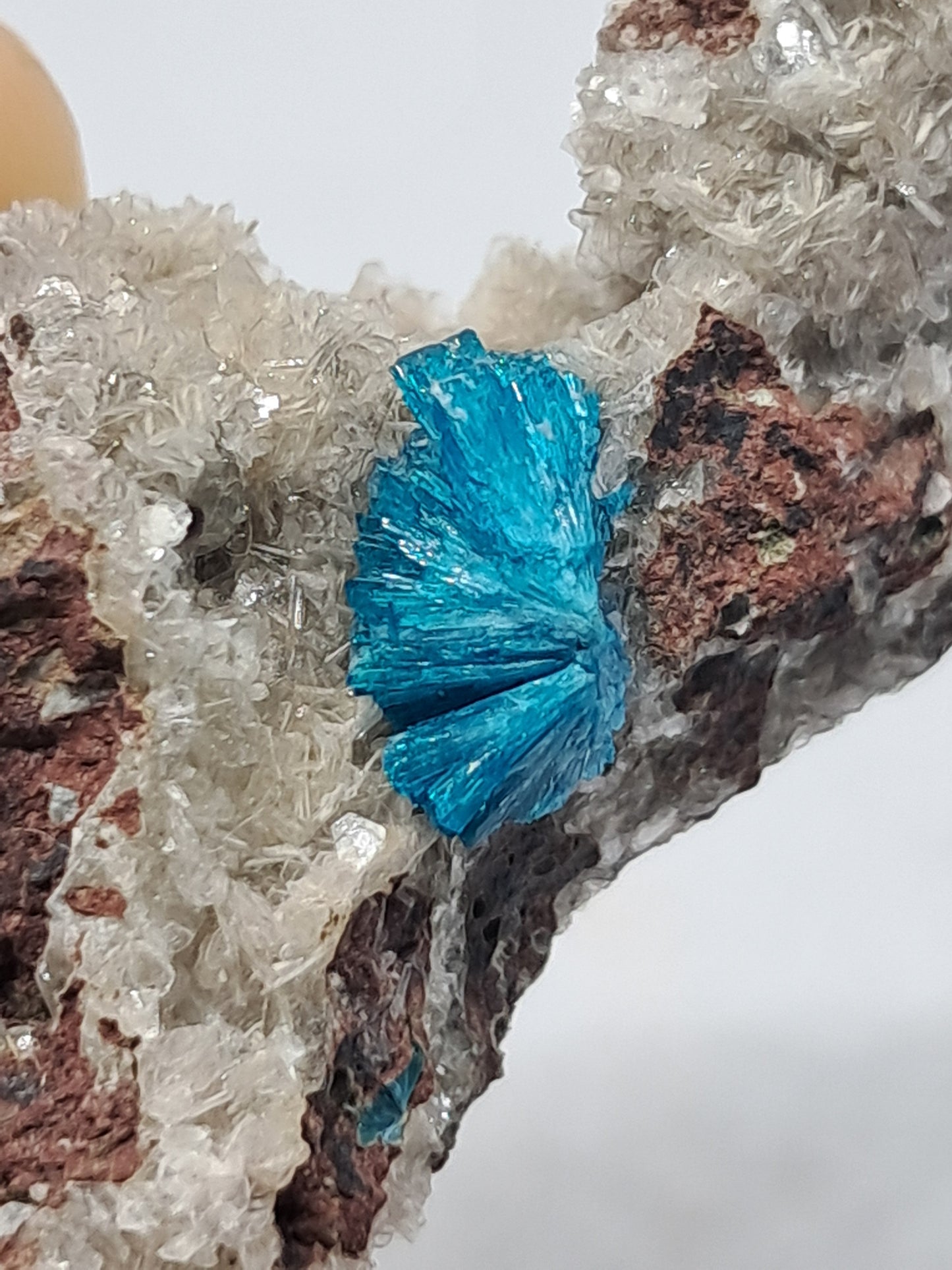 Cavansite on Heulandite Matrix (Wagholi) Rough Stone | Natural Crystal | Rare Mineral Specimen #CV15
