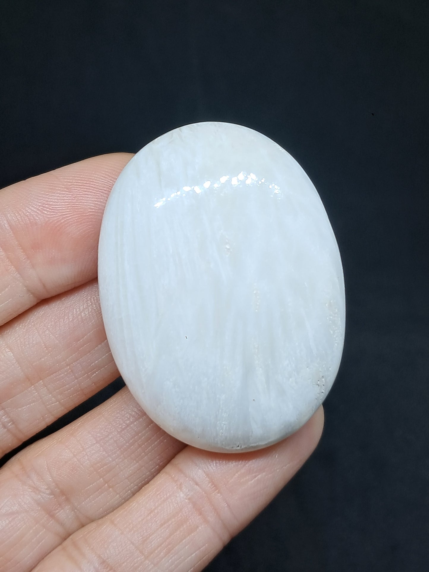 Palma de Escolecita | Piedra Natural Pulida | Buena Calidad #SCL2