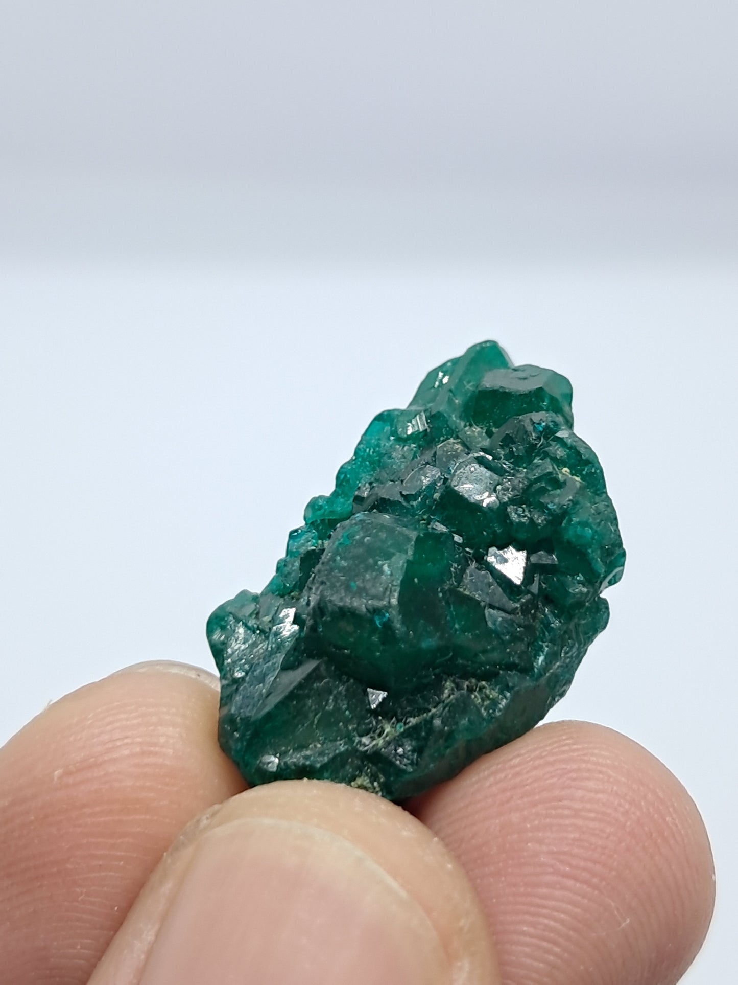 Dioptase (DRC) Natural Cluster | Rough Crystal | Mineral Specimen #DPT6