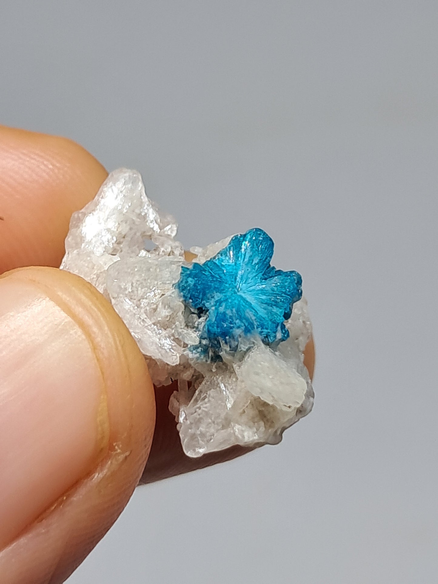 Set of Cavansite & Pentagonite on Matrix (Wagholi) Rough Stone | Natural Crystal | Rare Mineral Specimen #CV41