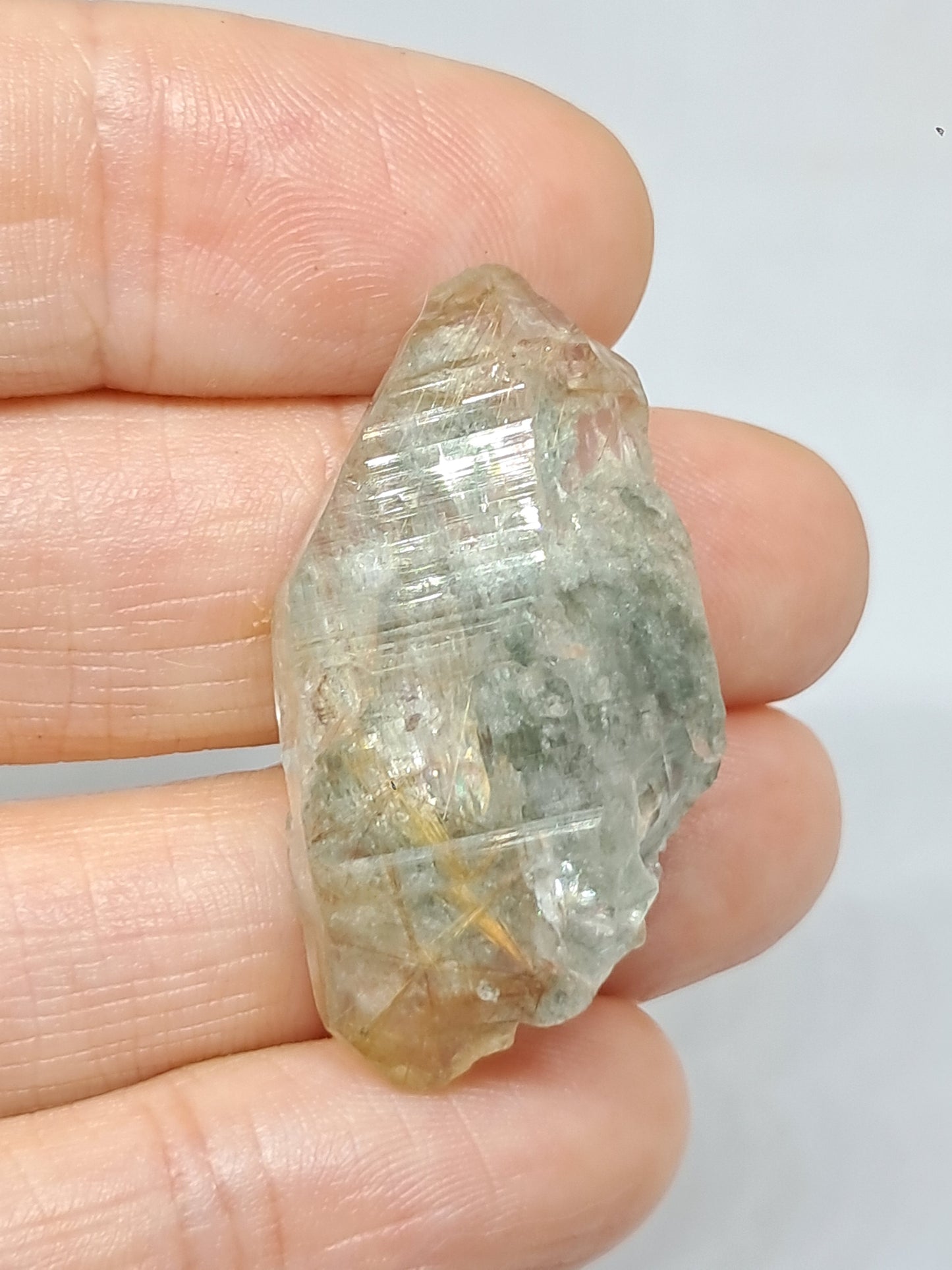 Quartz w/ Chlorite and Golden Rutile Inclusions (Kullu) Rough Stone | Natural Crystal Point | Mineral Specimen #CH46