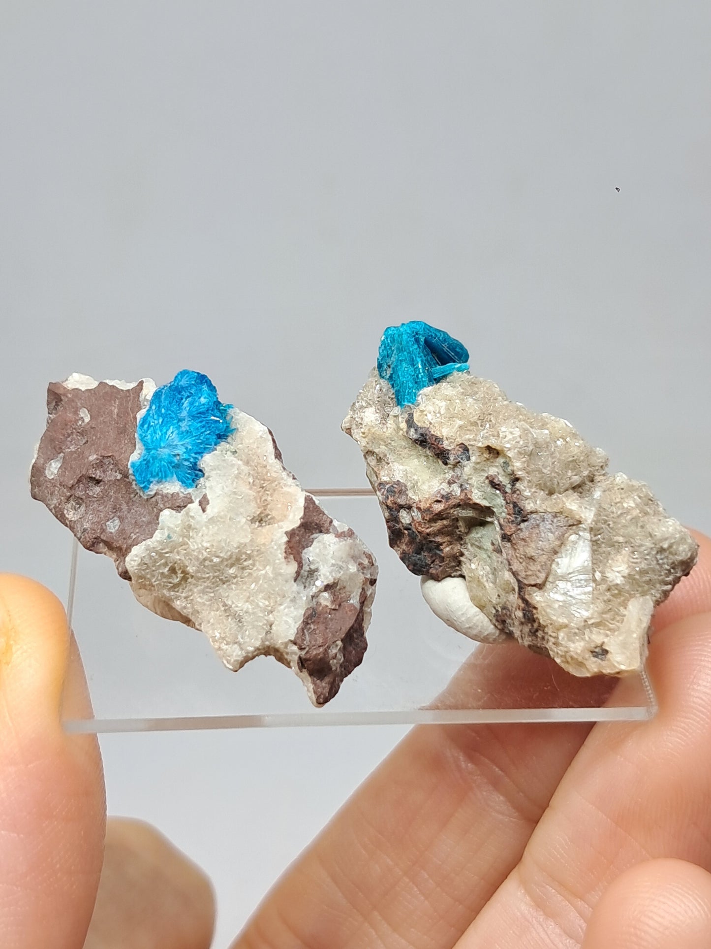Set of Cavansite & Pentagonite on Matrix (Wagholi) Rough Stone | Natural Crystal | Rare Mineral Specimen #CV42
